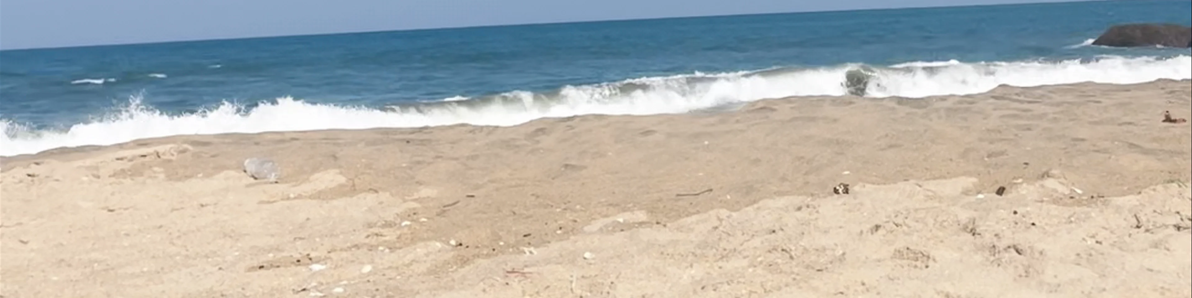 Arugam Bay Beach