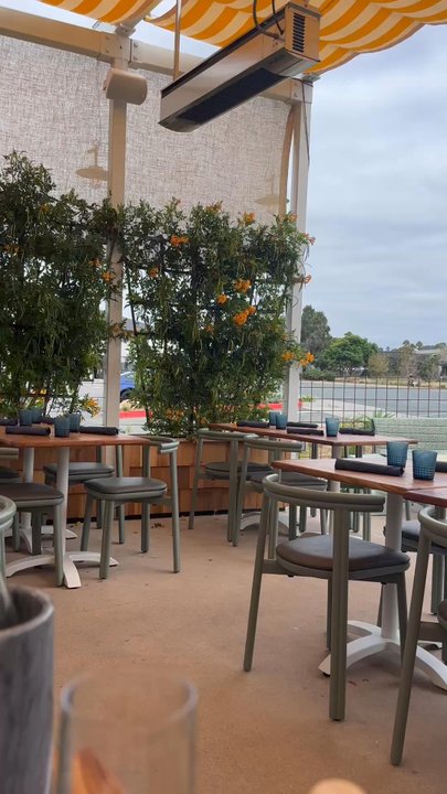 Lana - Visiting Hummingbird on the patio - American Near Me - Solana Beach, California