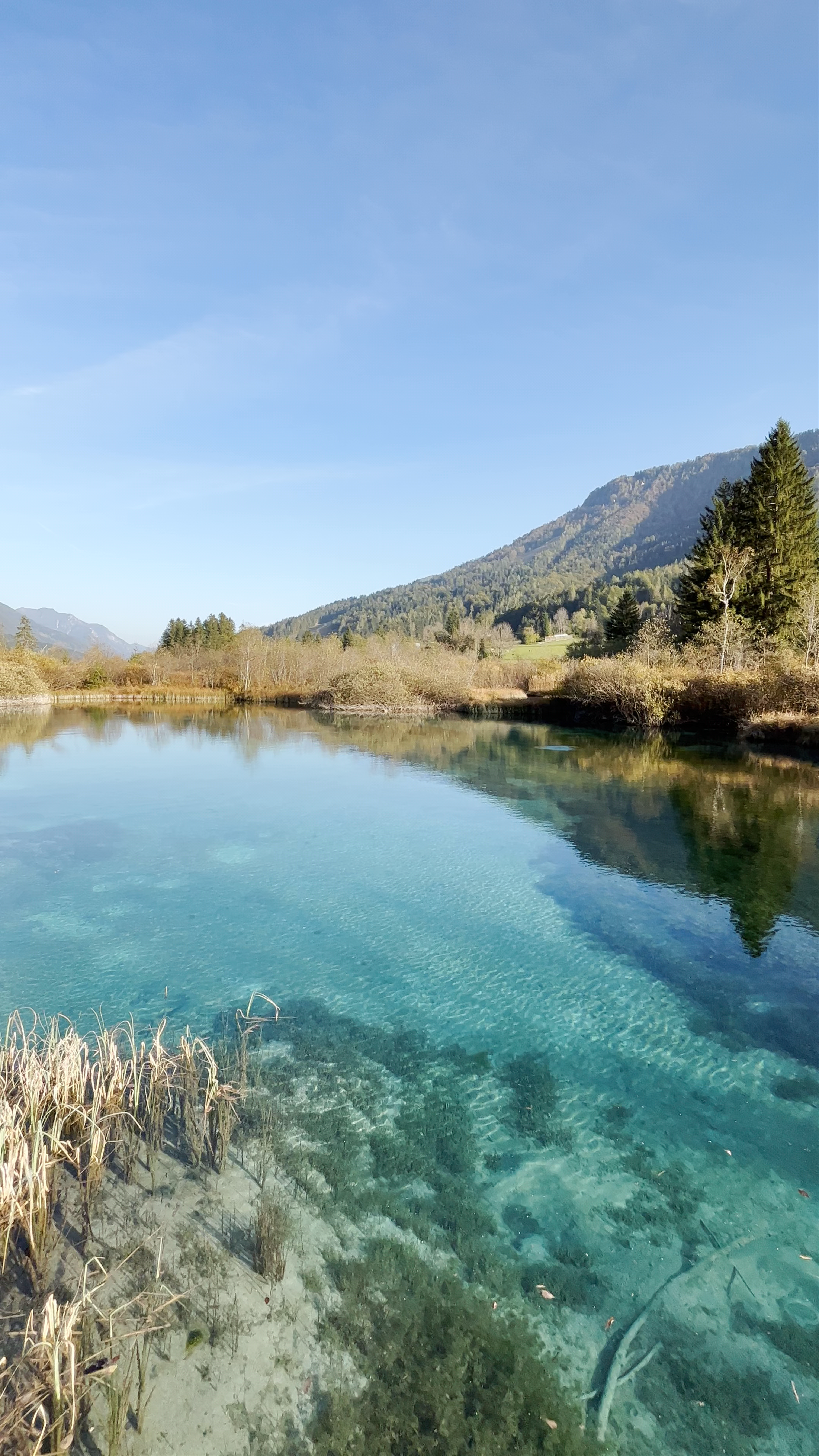 Zelenci Nature Reserve