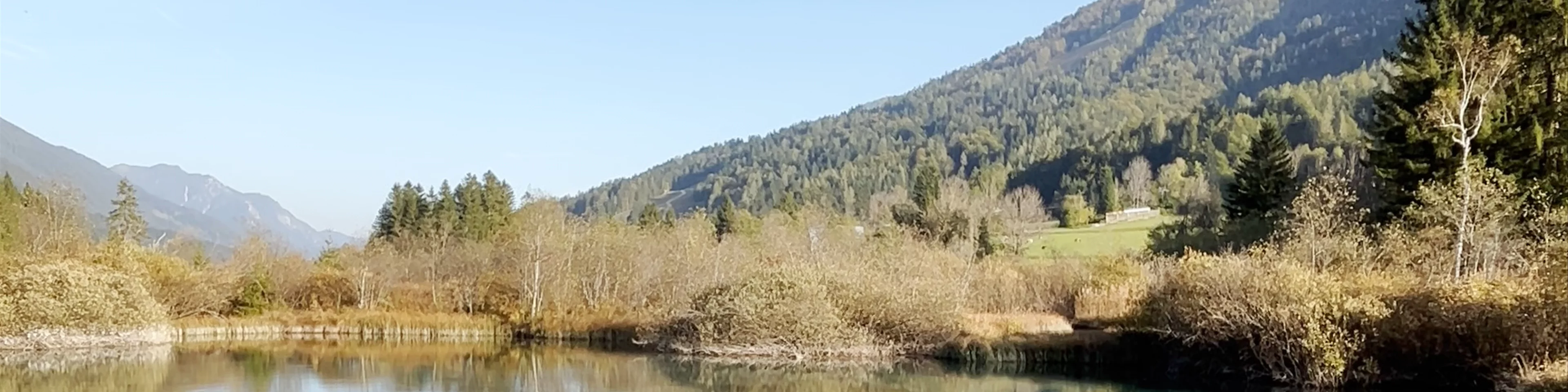 Zelenci Nature Reserve