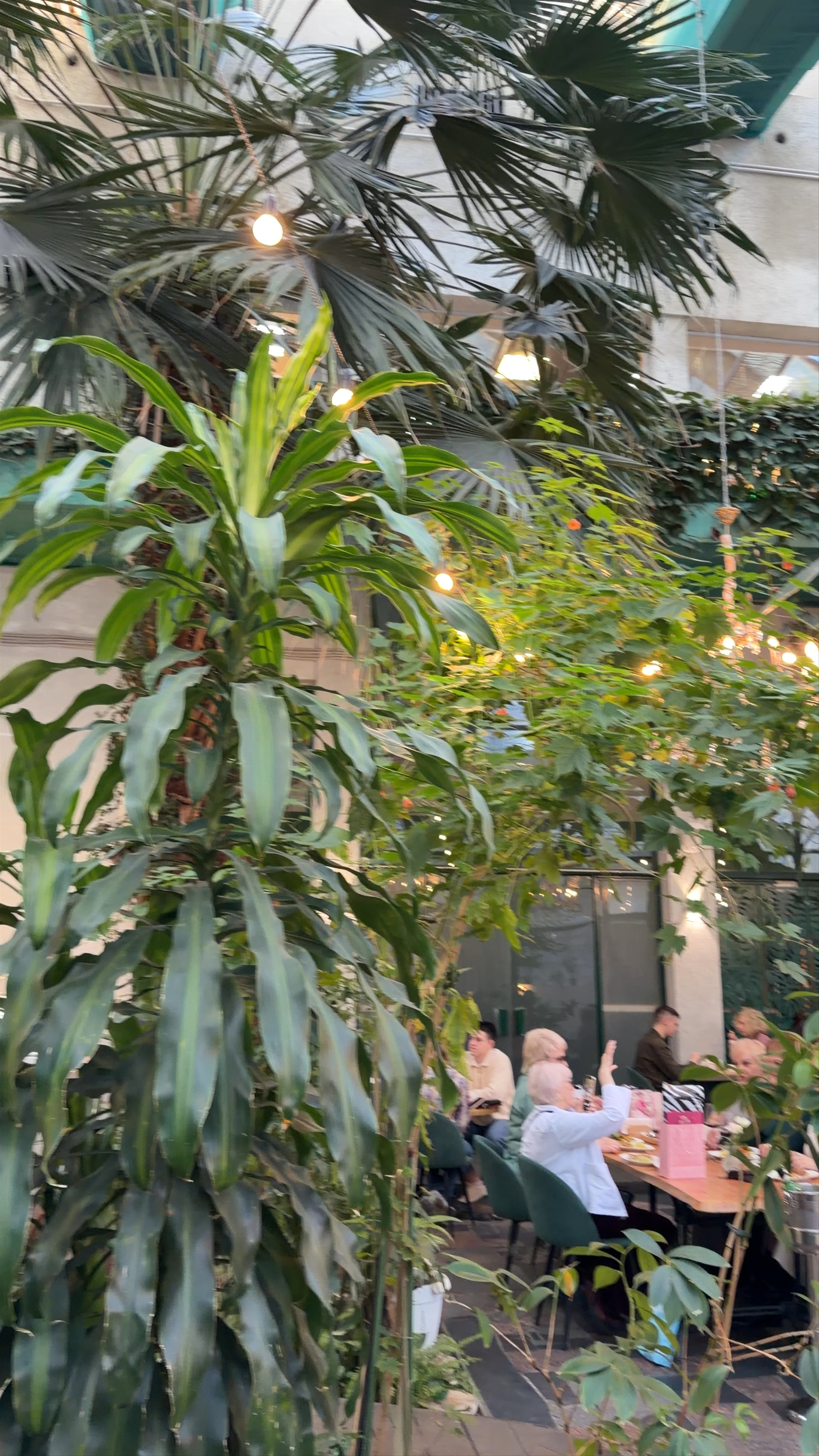 Chocolate Bar Secret Garden