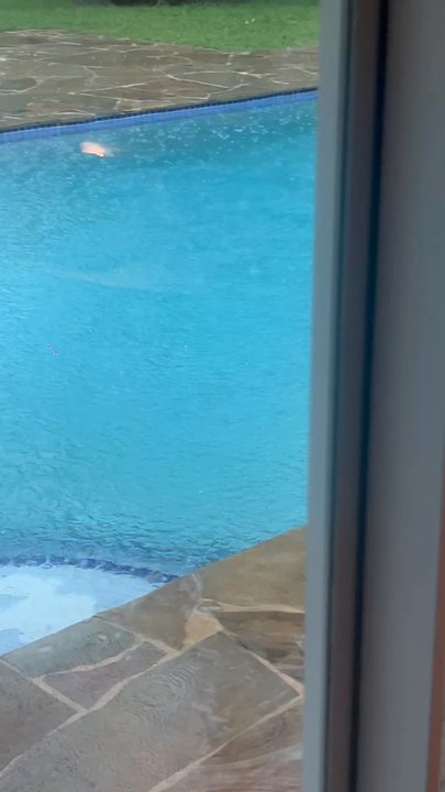 Manny Pool Services - Clear baby - Pool Cleaners Near Me