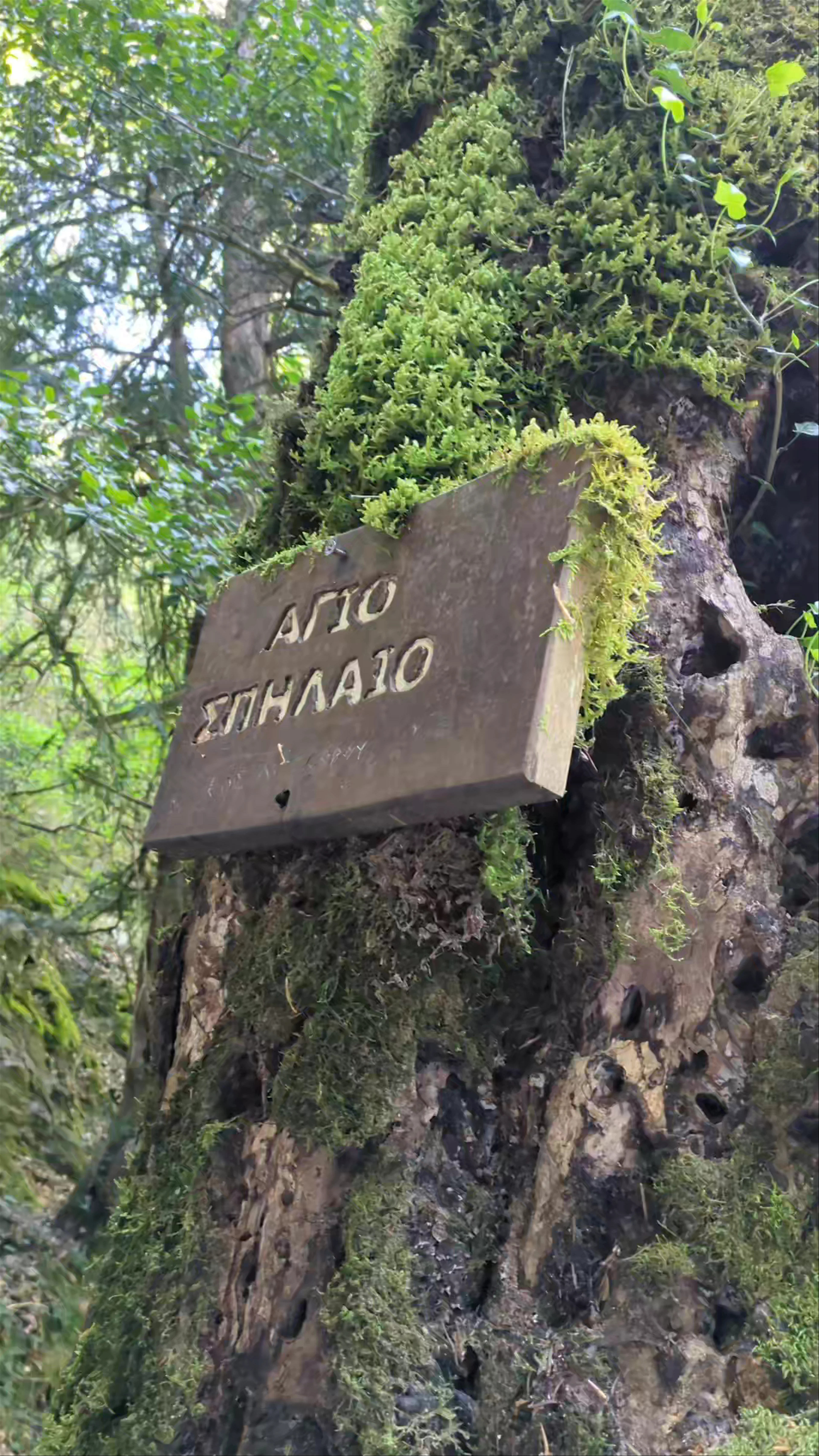 Cave of Agios Dionysios
