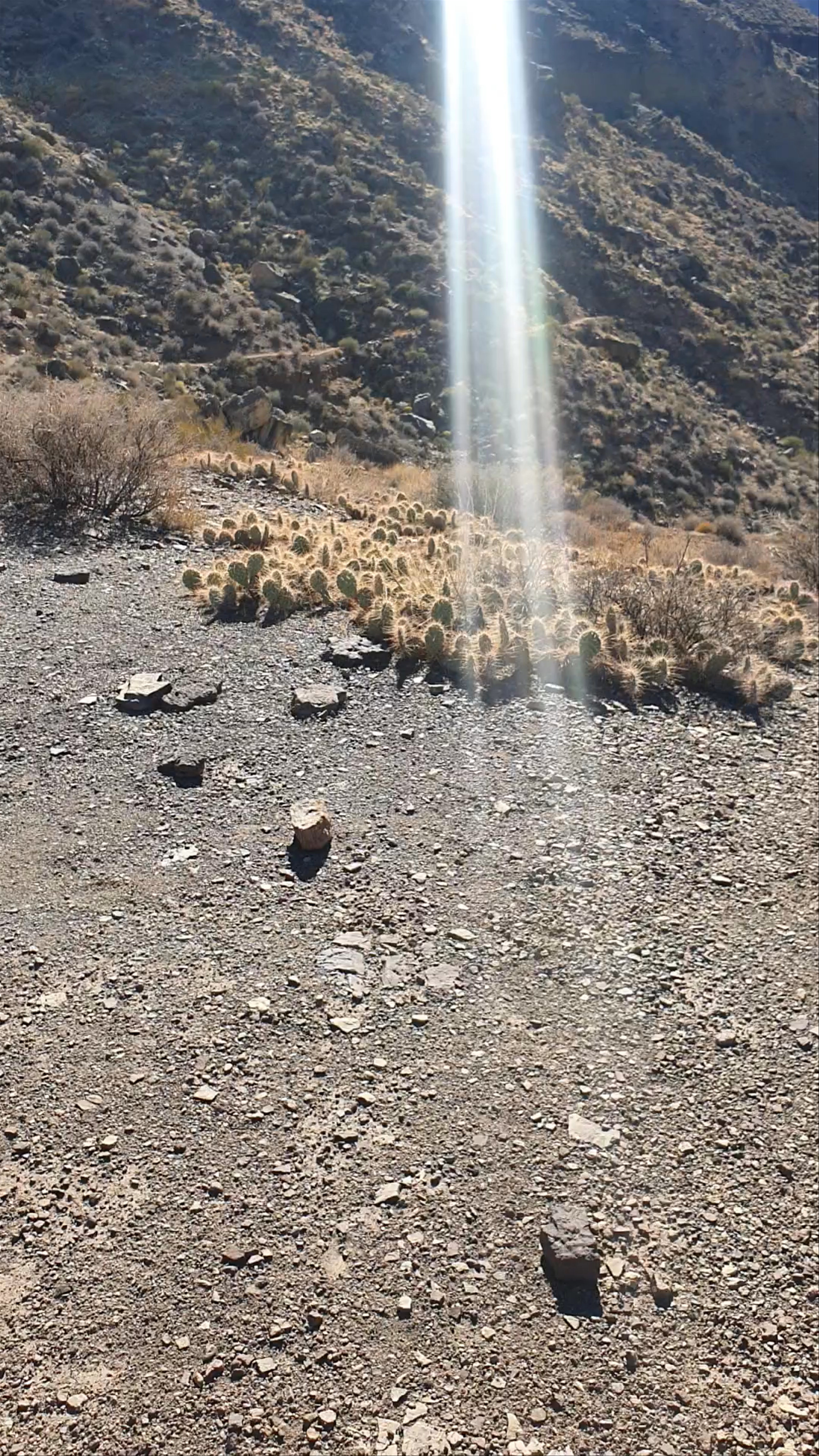 Tonto Trail: Mesmerizing Grand Canyon Desert Hike