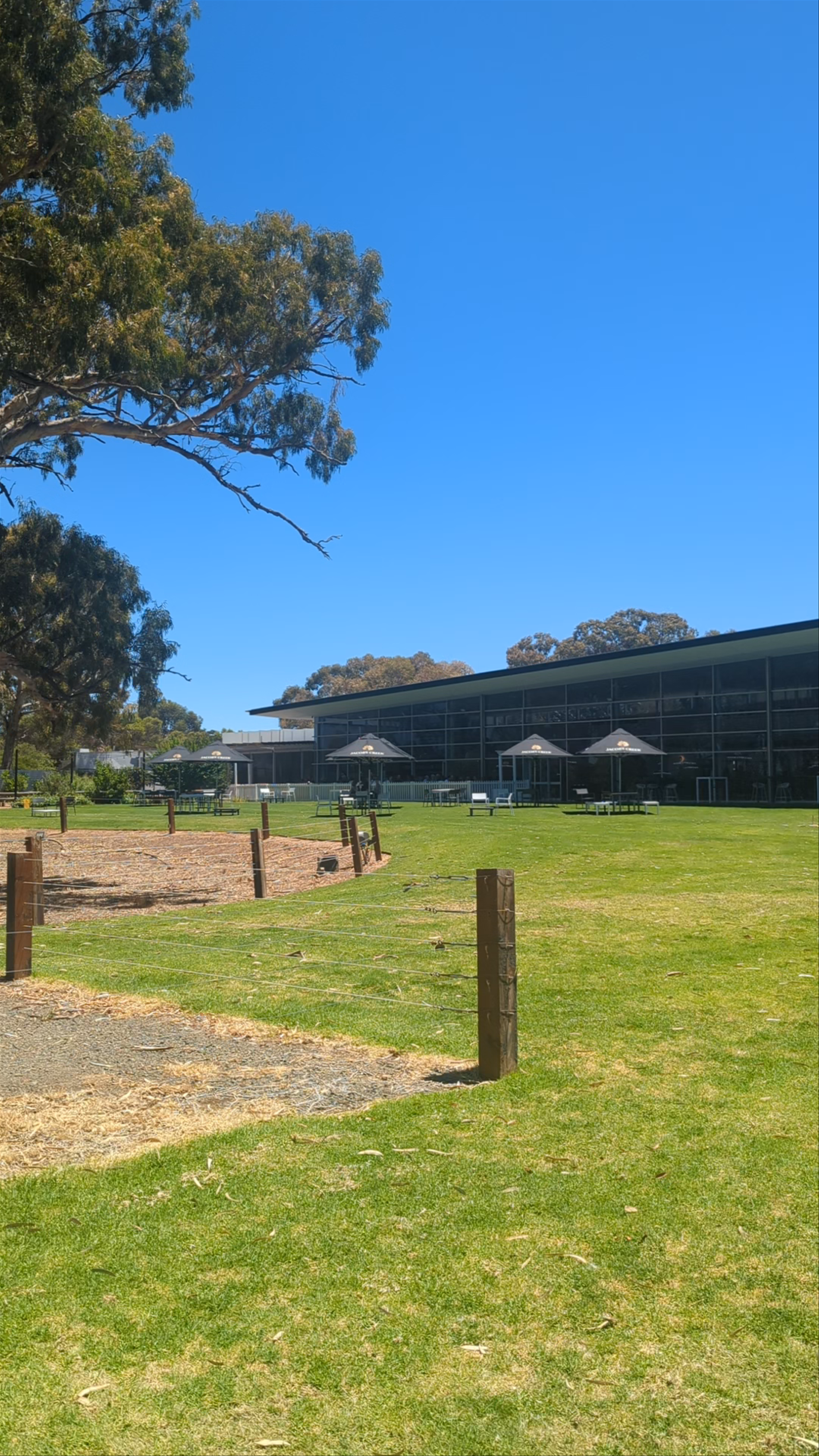 Jacob's Creek Cellar Door