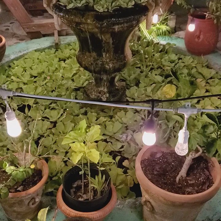 Tillett Gardens - True Island Vibes - Resorts Near Me - St Thomas, Virgin Islands
