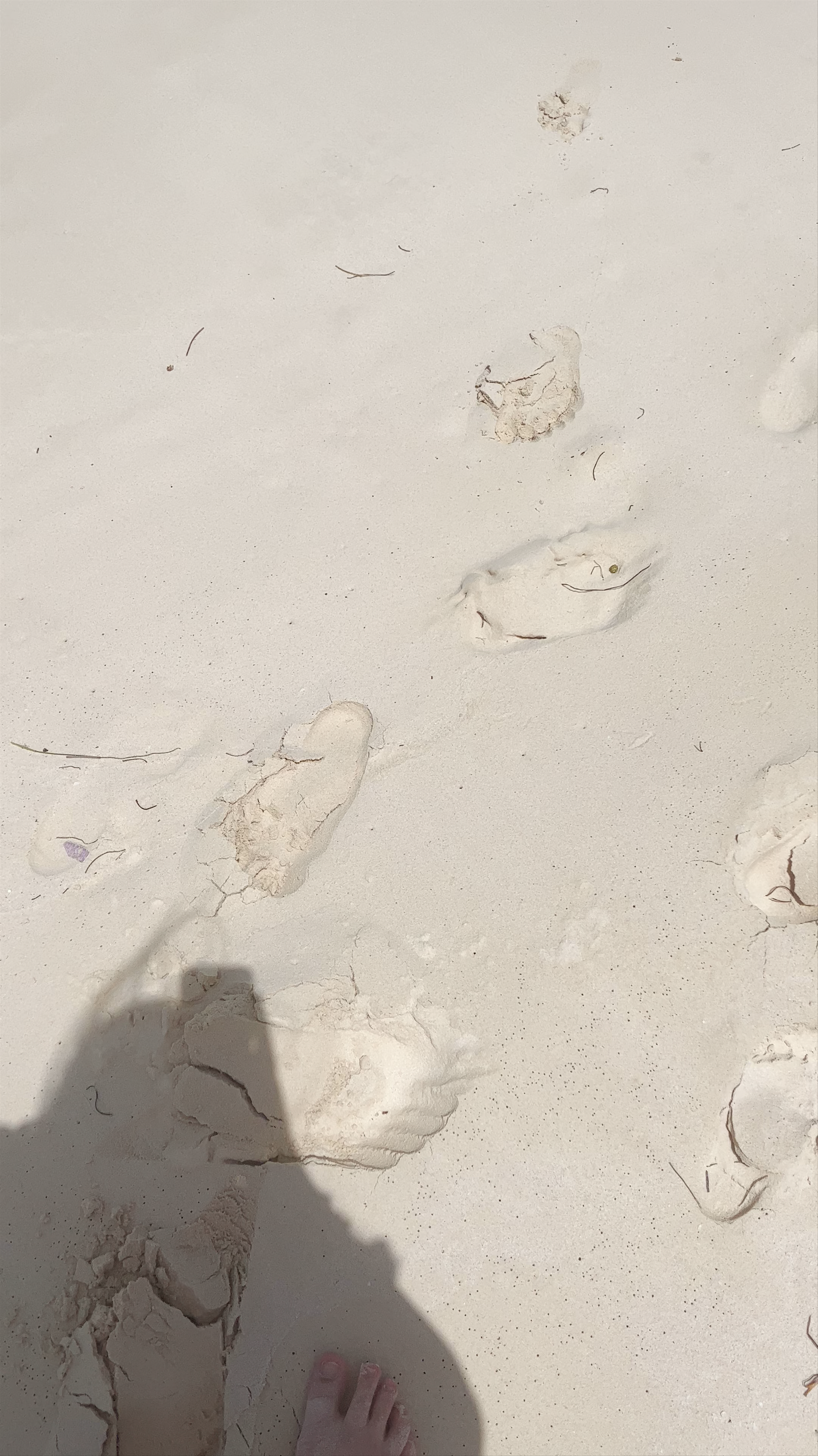 Playa Norte