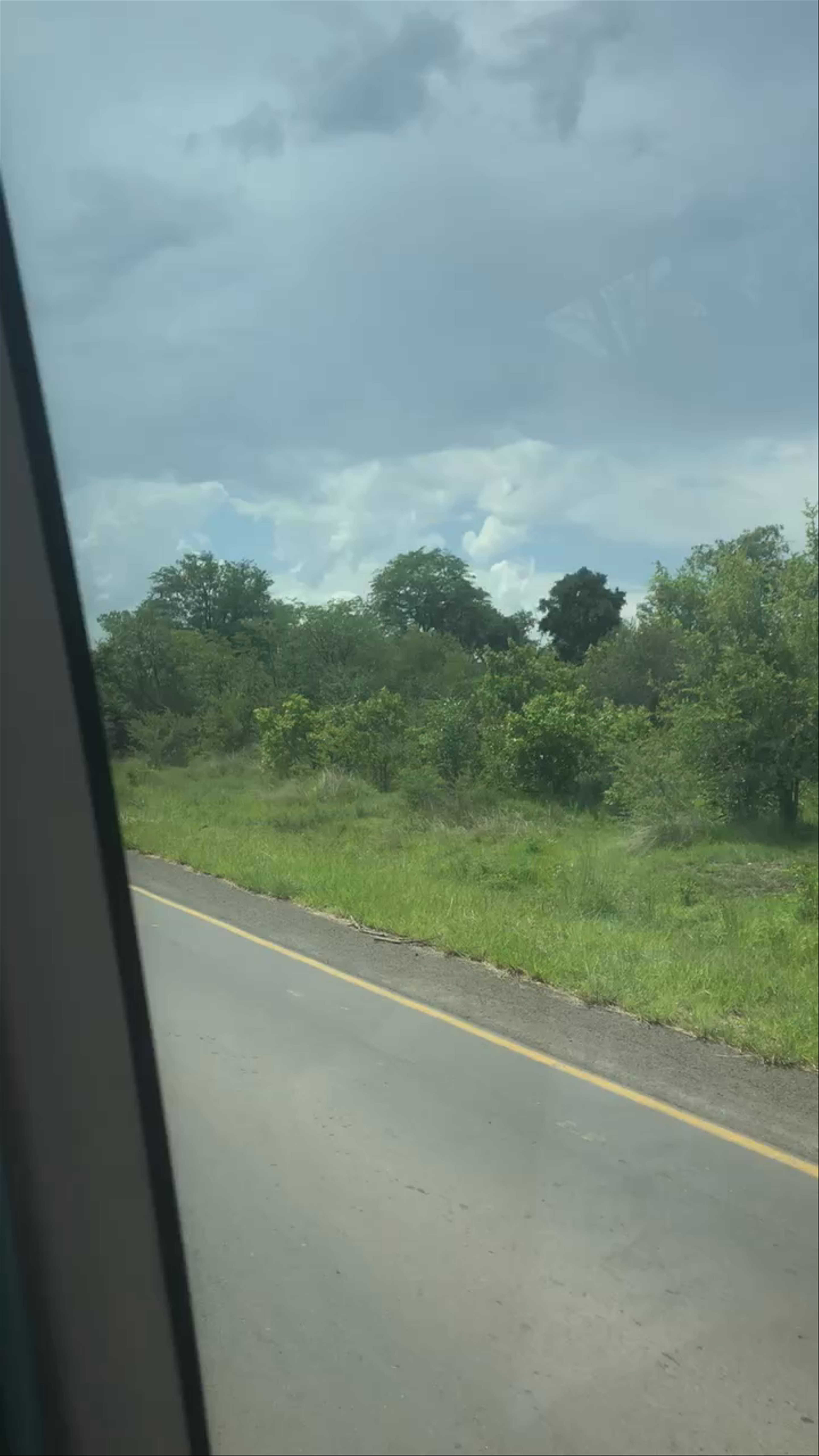 Wildlife in Zambia🇿🇲