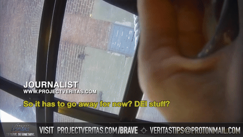 Video Thumbnail Loop