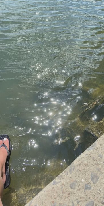 Parc de l'Aqueduc - Parks Near Me - Montreal, Quebec