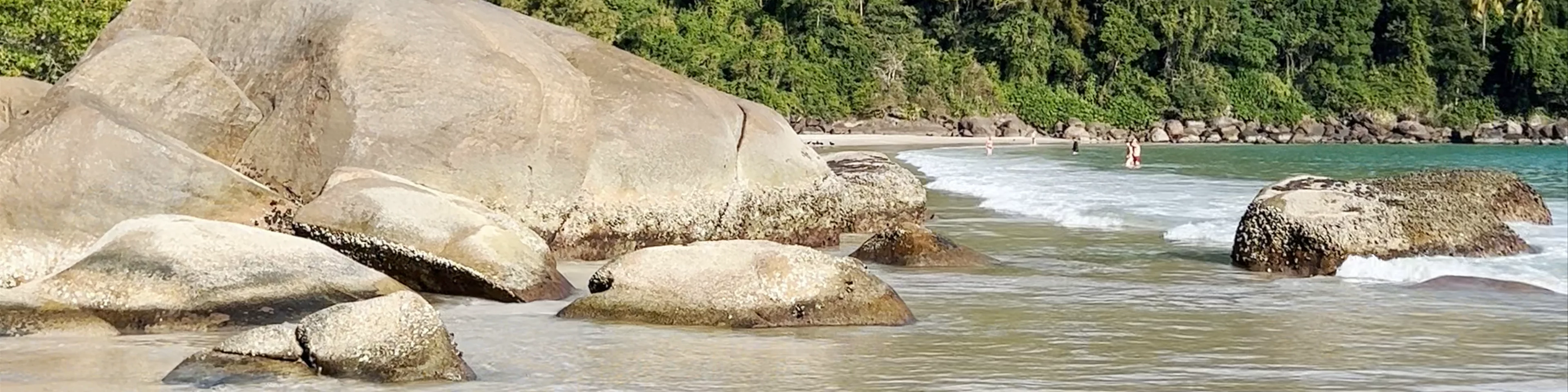 Praia de Lopes Mendes - Abraão
