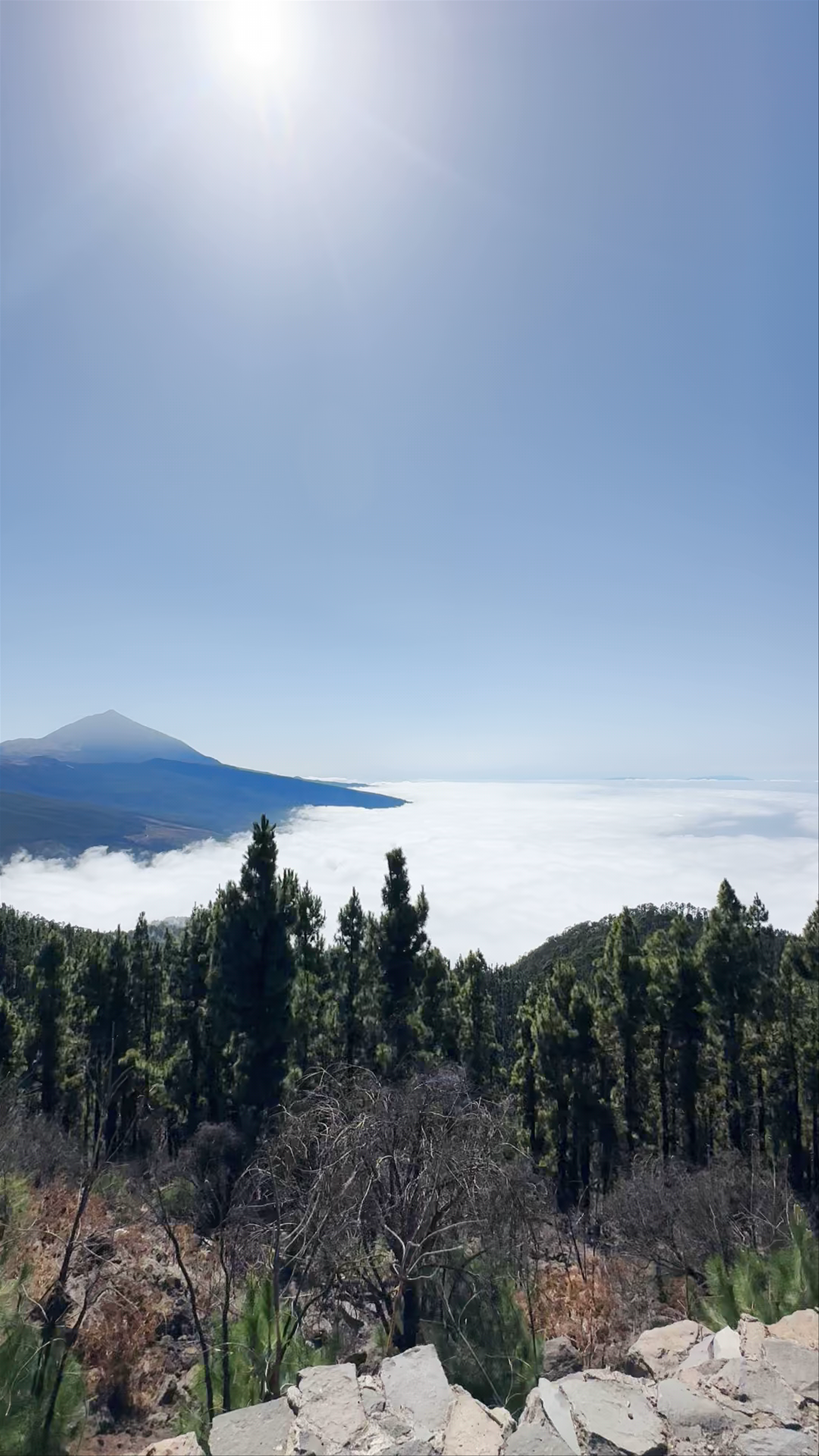 Mirador de Chipeque: Breathtaking Panoramas Above the Clouds in Santa Úrsula, Canary Islands