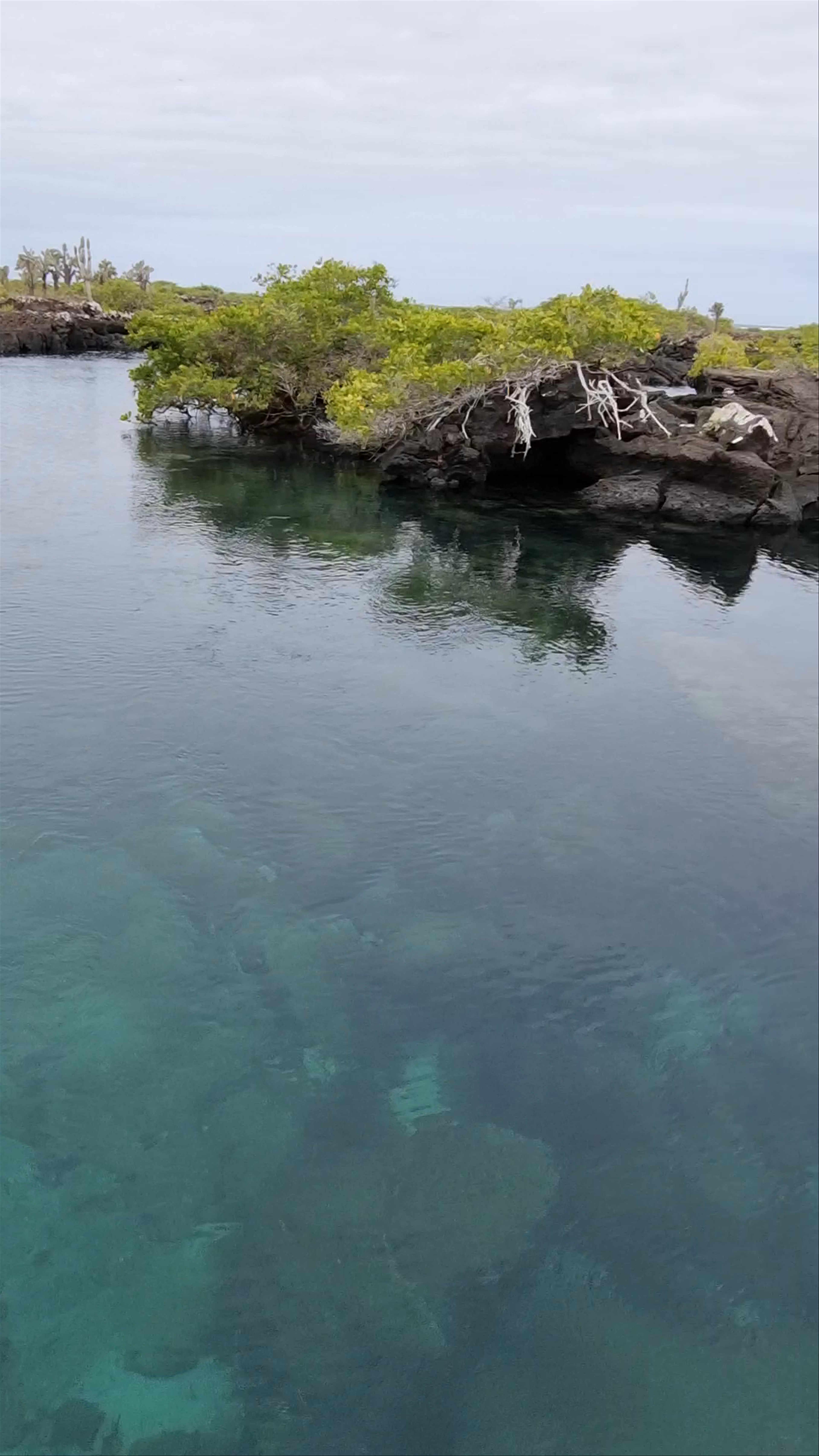 Los Túneles de Lava for Snorkeling, Galápagos, Ecuador