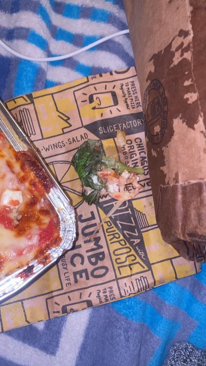 Slice Factory - Spilled elements from the food tray, and awful smell! - Chicken Wings Near Me - Chicago, Illinois