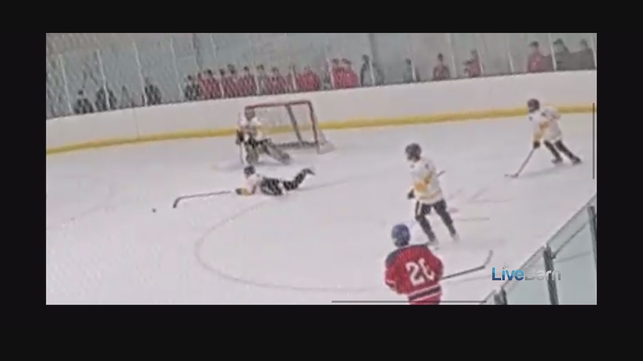 Ethan Gallea's Incredible Diving Glove Save | McQuaid Jesuit JV