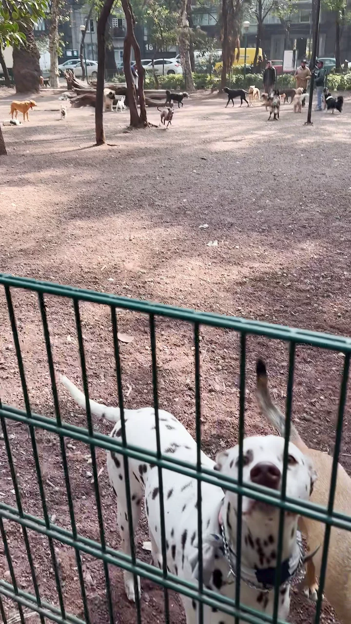 🚴 19 City Highlights Bike Tour