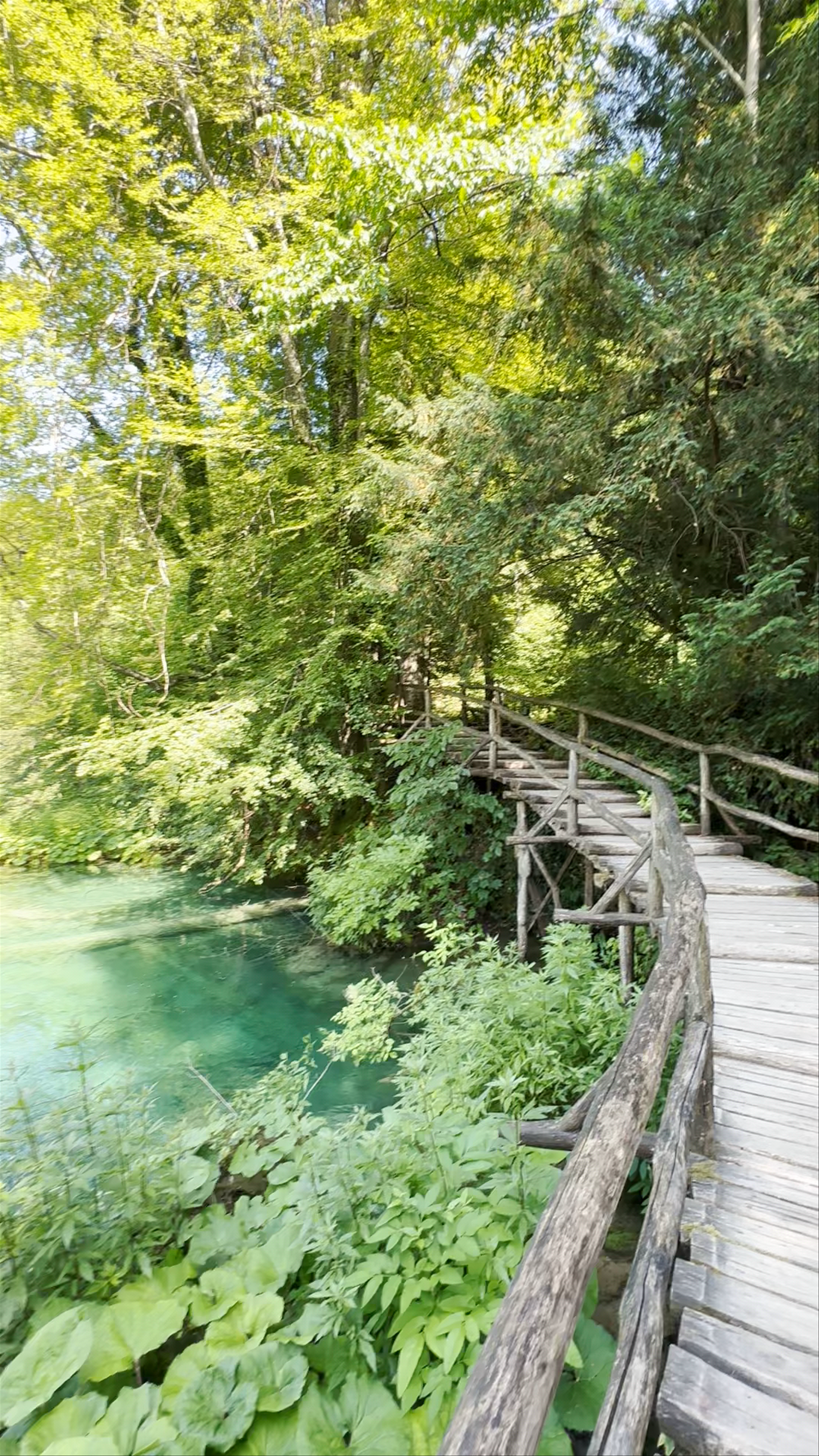 Galovački Buk: Enchanting Waterfalls and Forest Trails of Plitvička Jezera