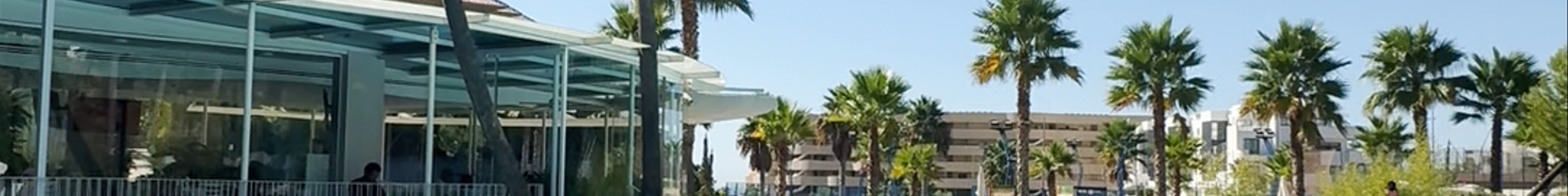 Tours & experiences in Málaga