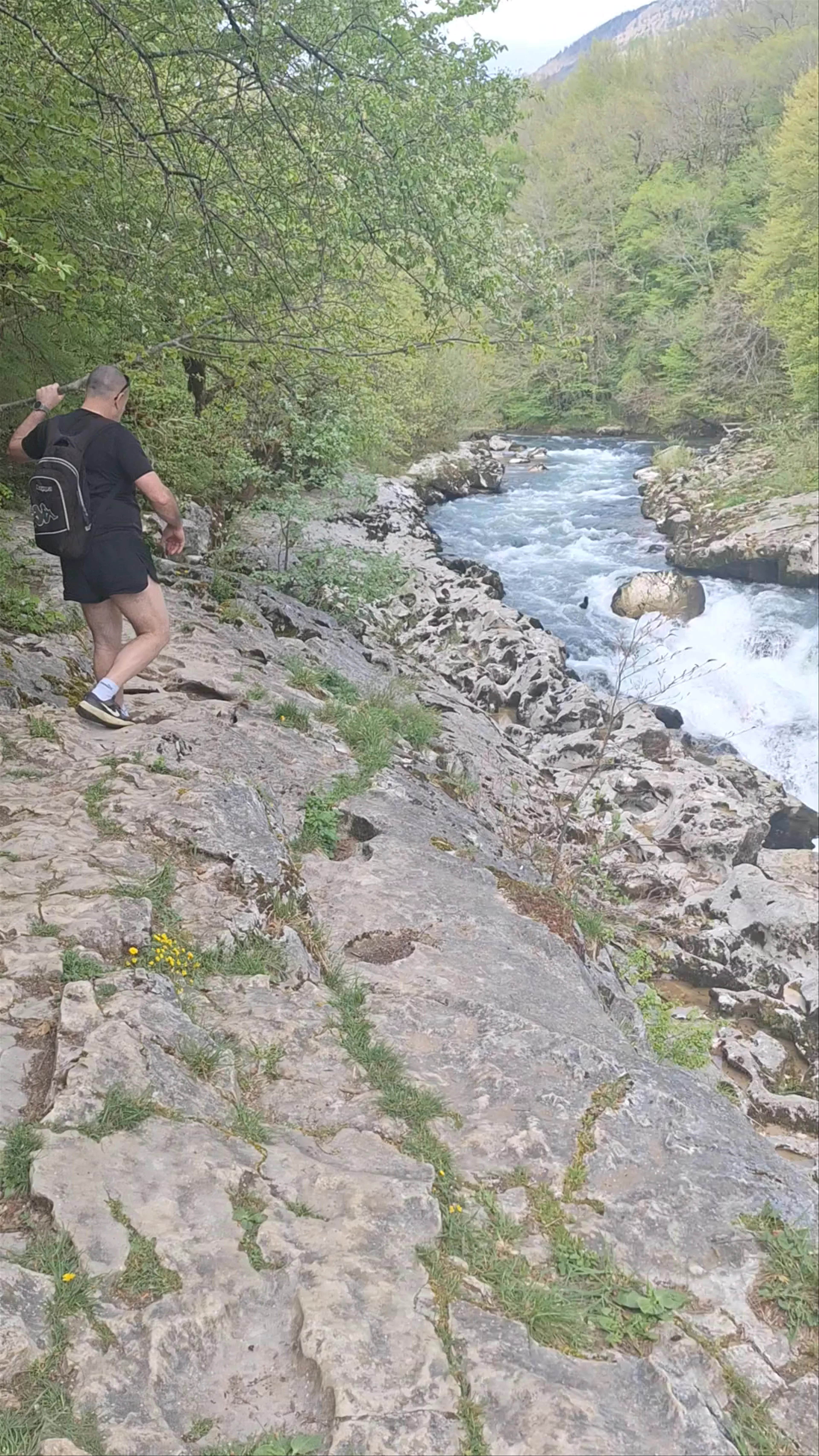 Auvergne-Rhône-Alpes