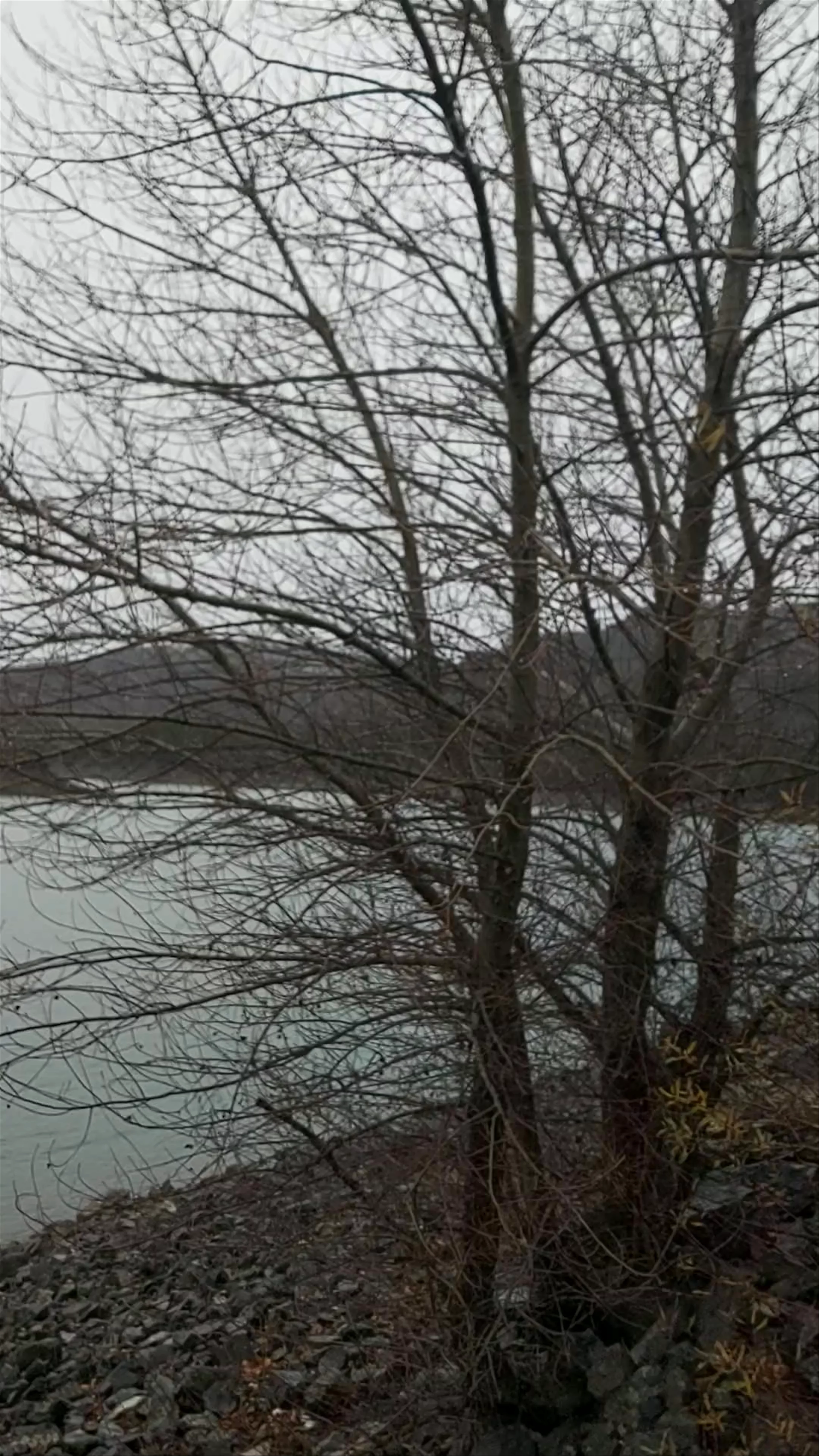 Artificial Aoos Lake