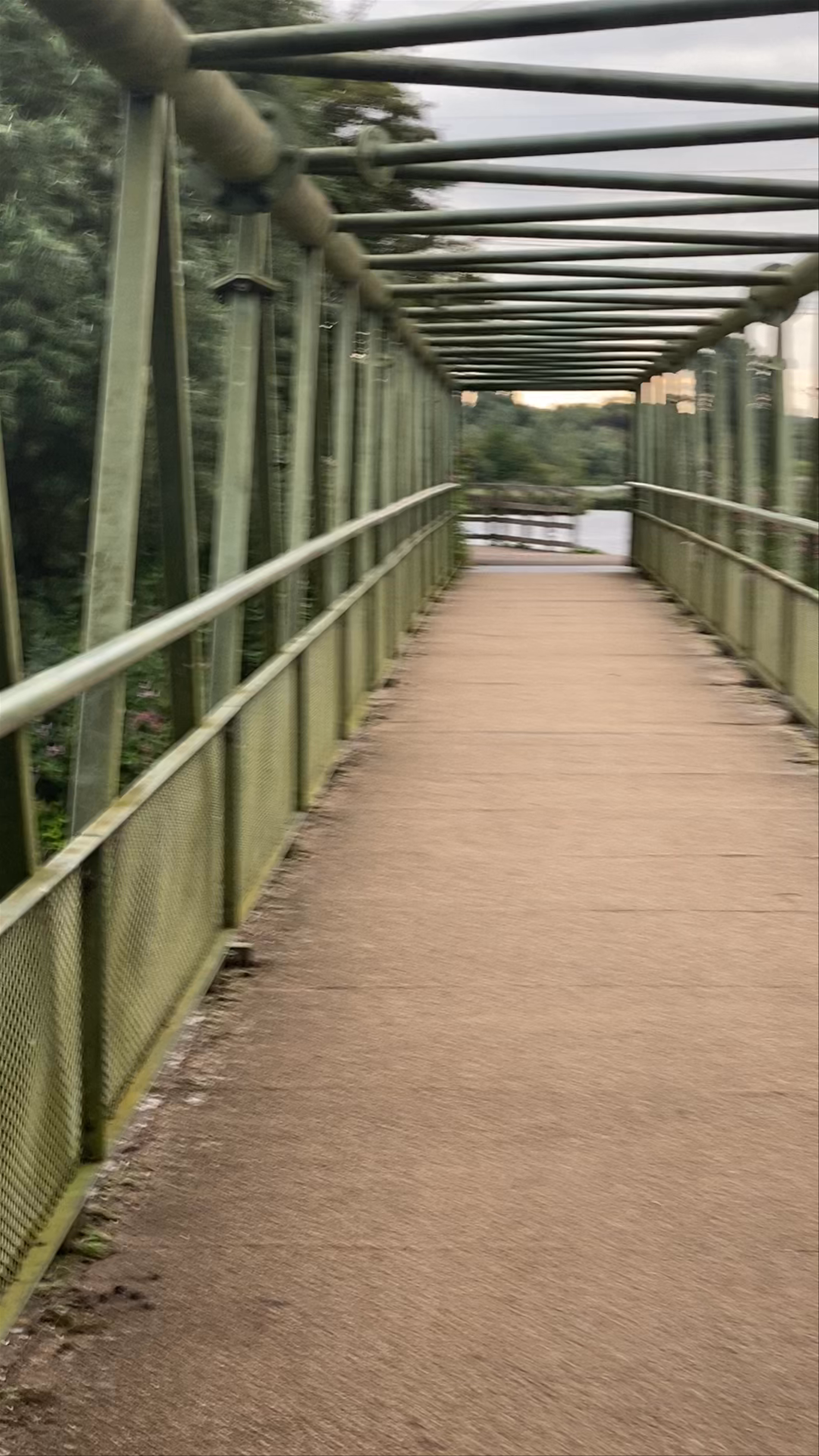 Serene Walk Across the River Lee Footbridge at River Lee Country Park