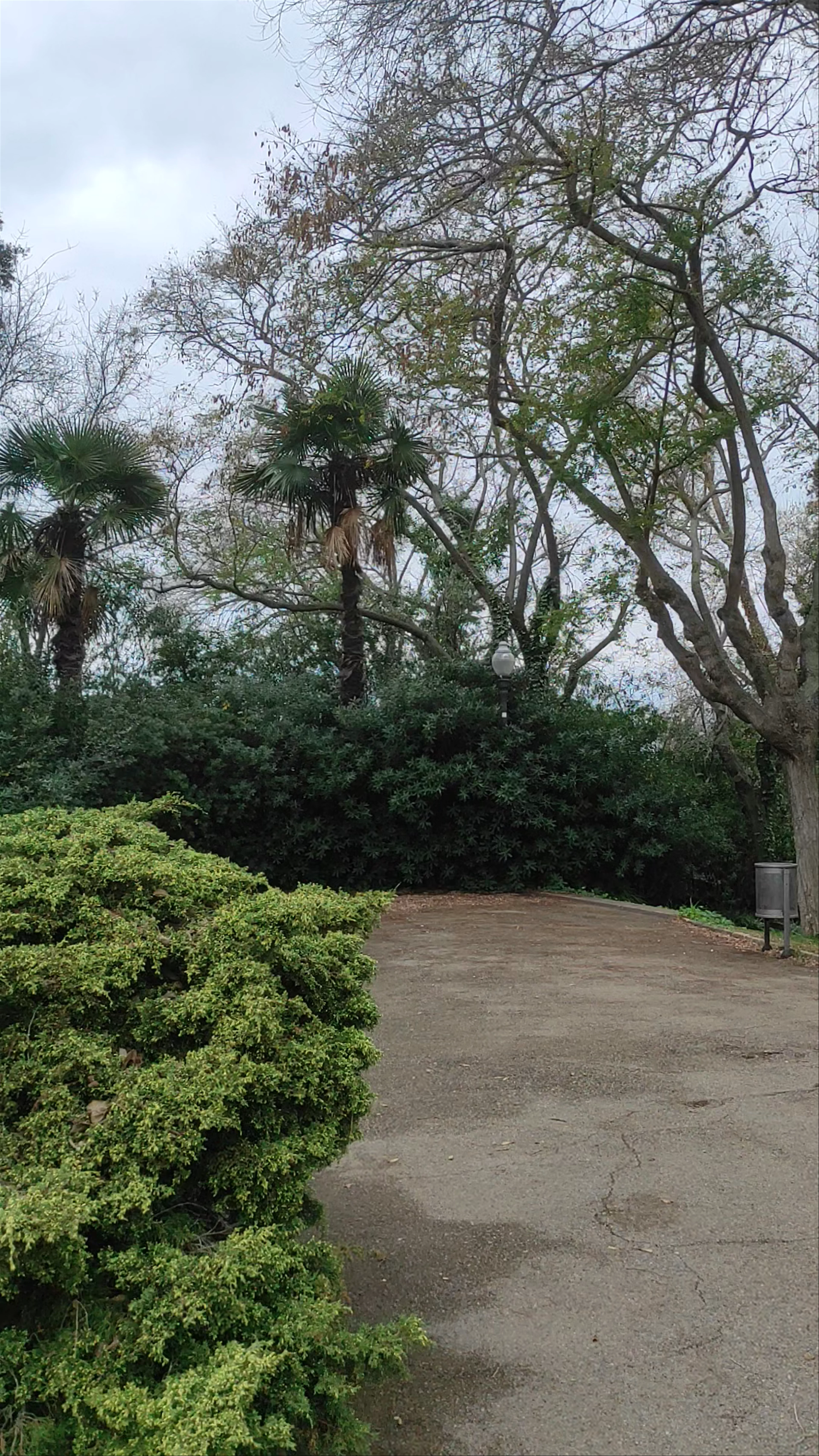 Jardins de Mossèn Costa i Llobera, Carretera de Miramar