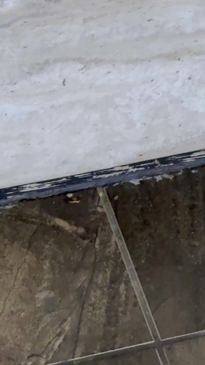 Flaming Grill & Buffet - A roach crawls around near the hibachi station - Sushi Bars Near Me - Salisbury, Maryland