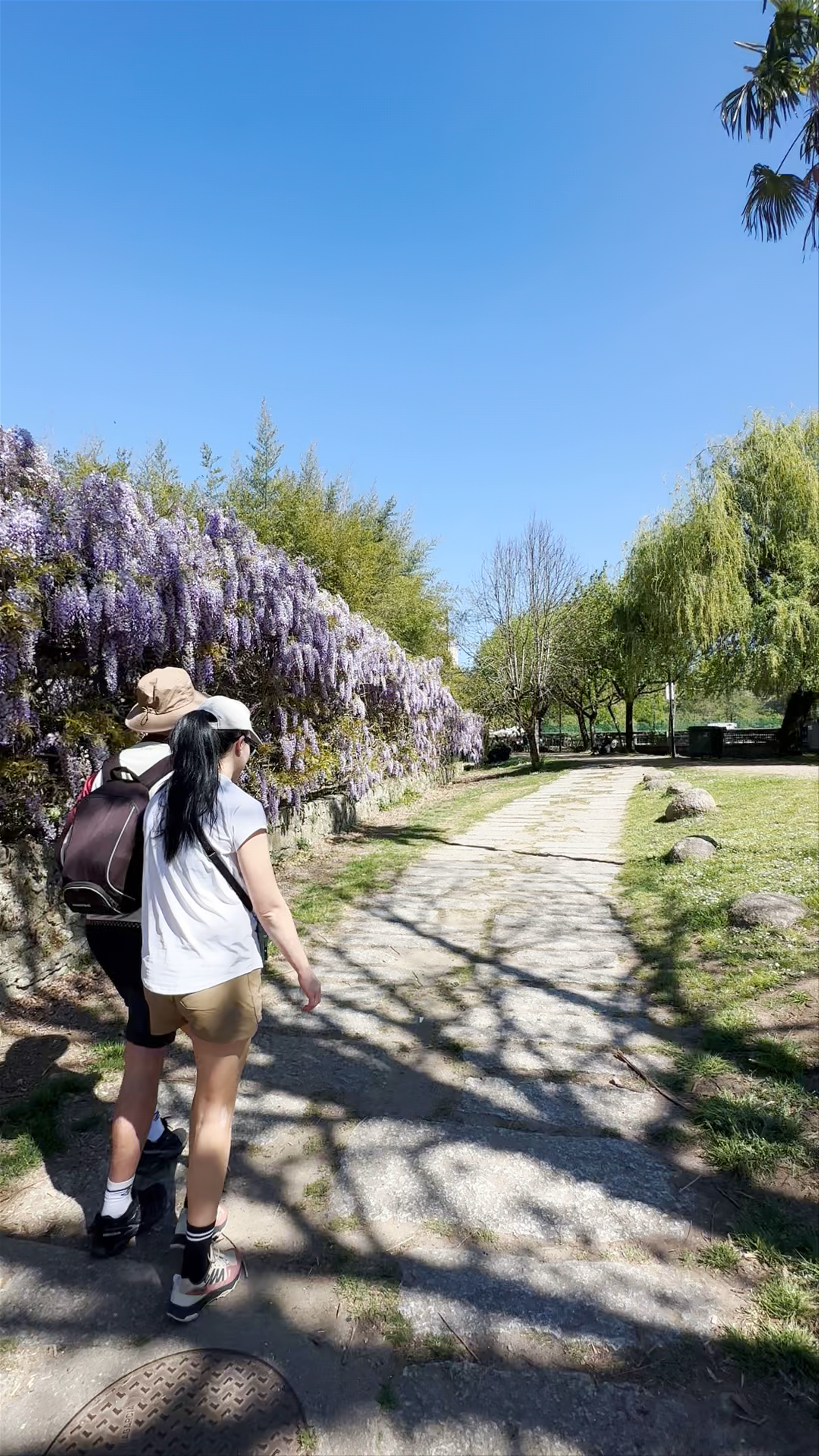 Praza do Camiño Portugués