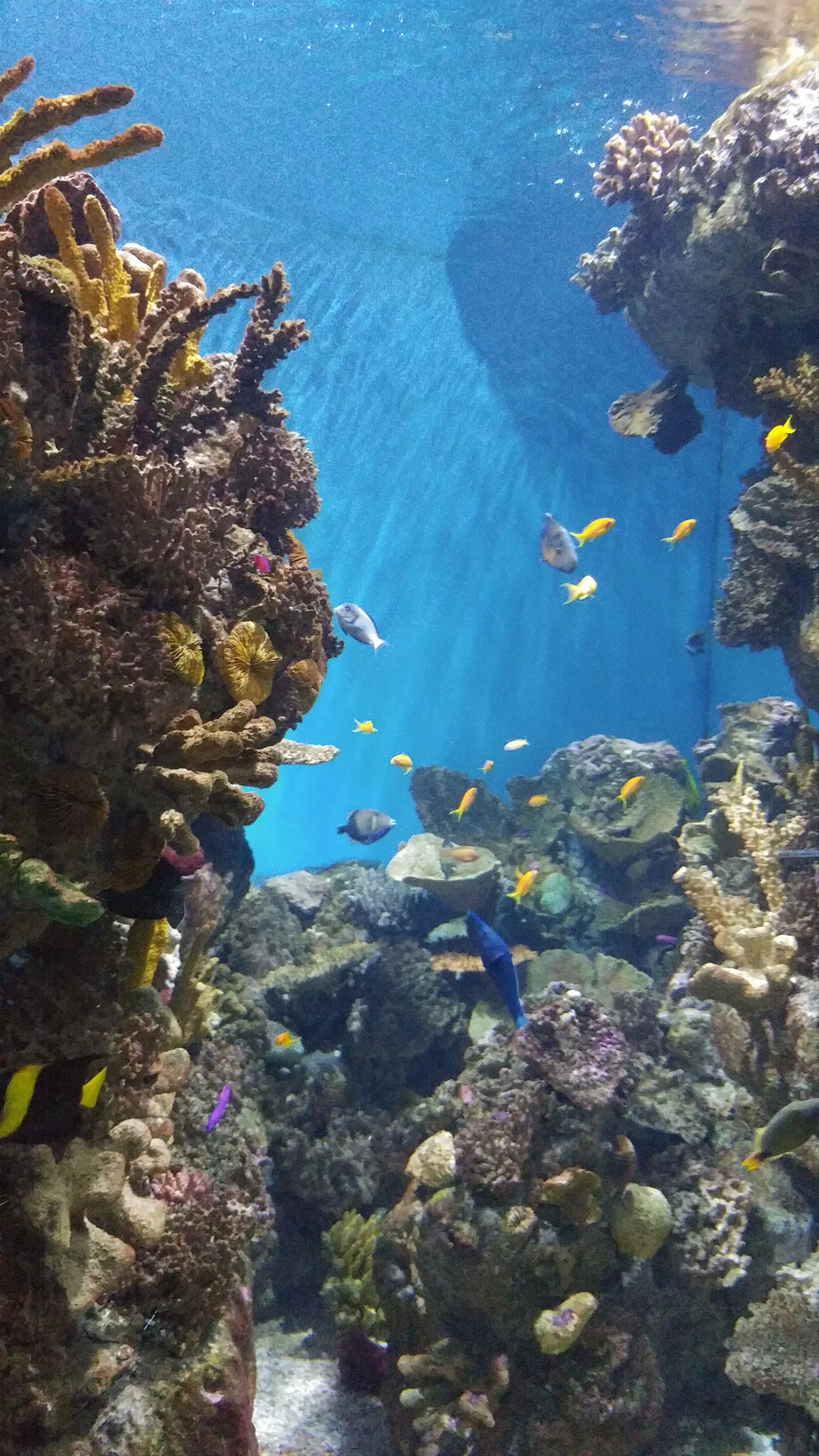 L’Aquarium, Moll d'Espanya, Barcelona, Spain