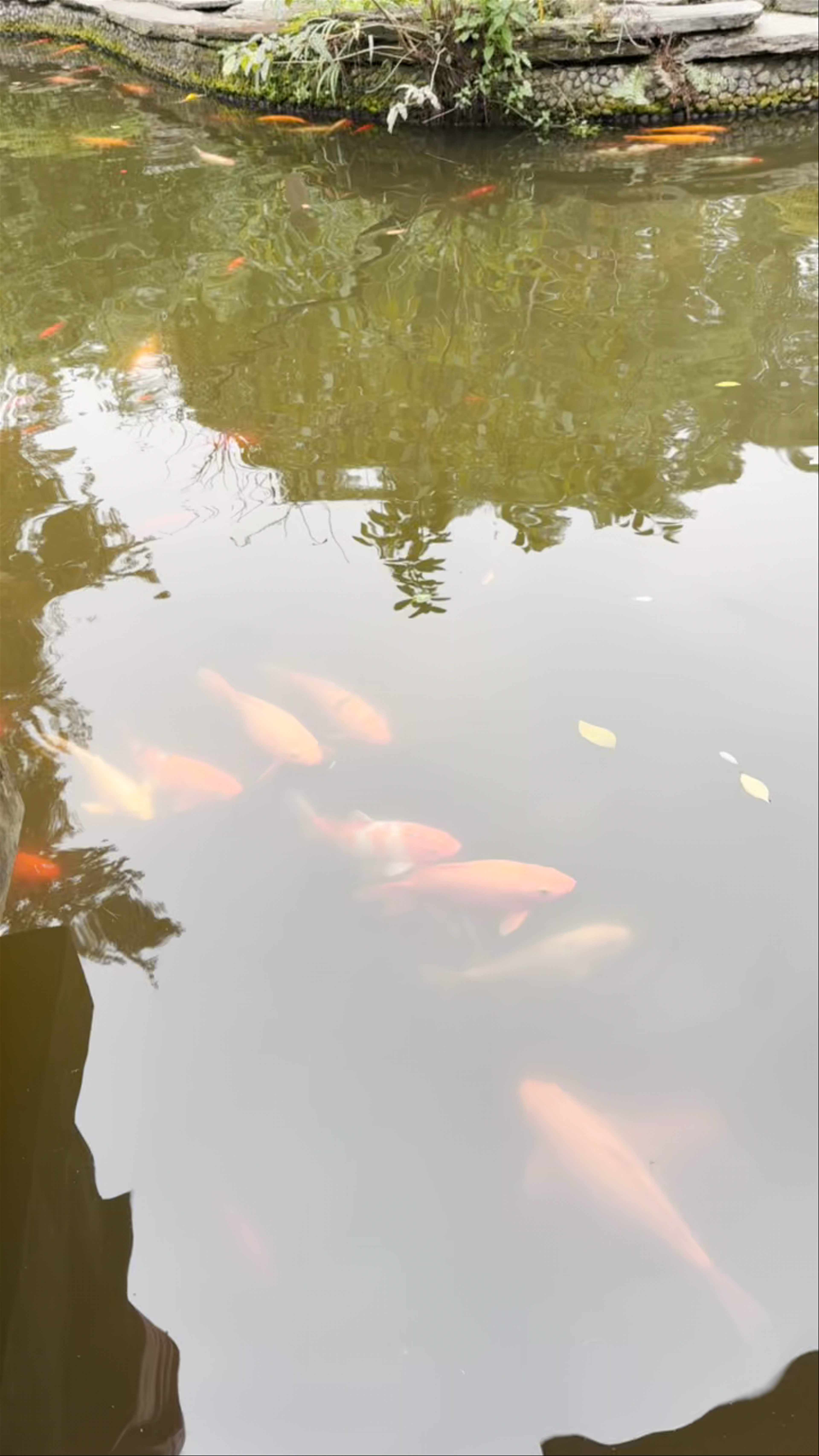 People's Park