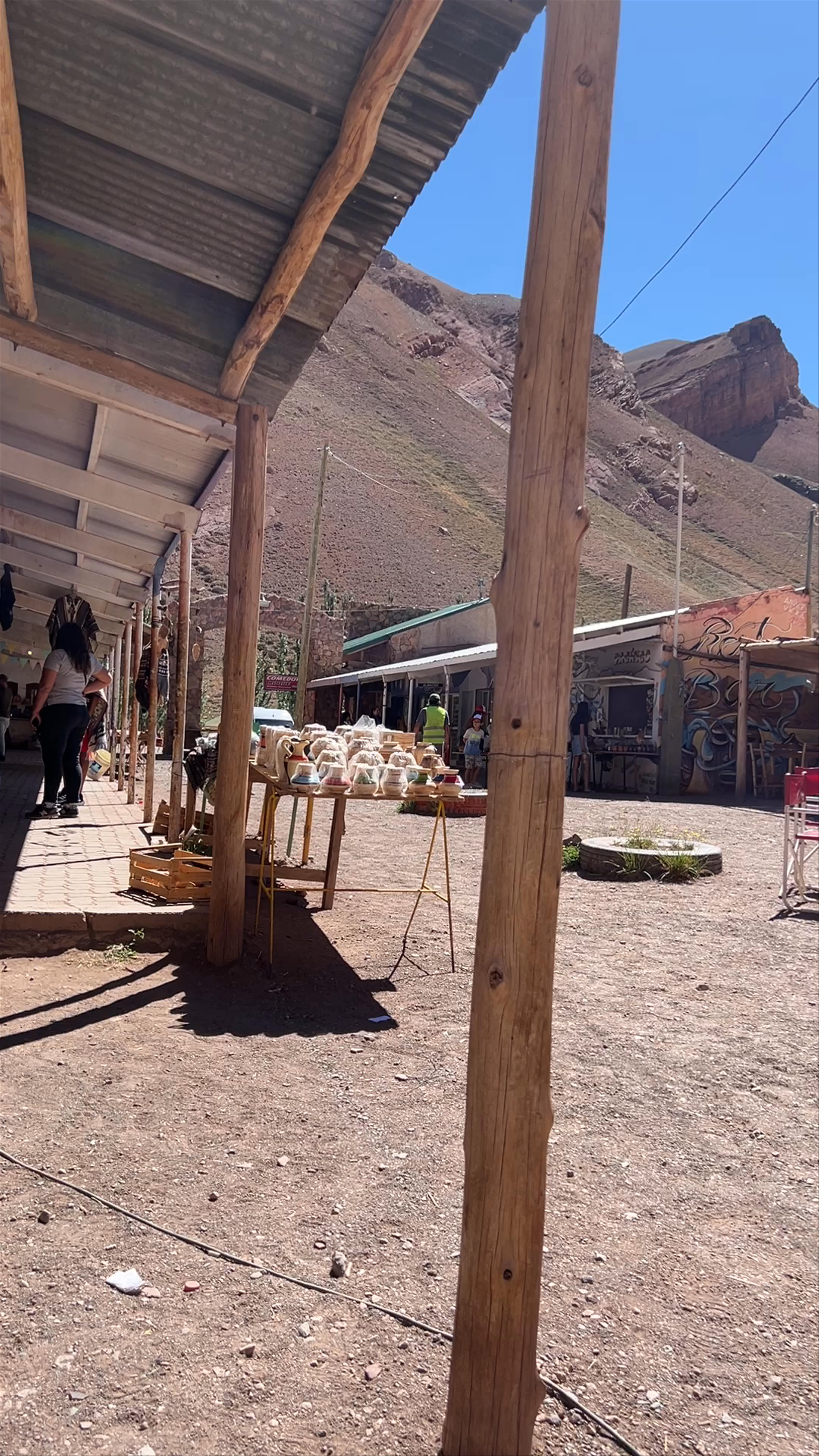Rustic Market Vibes at Puente del Inca, Mendoza