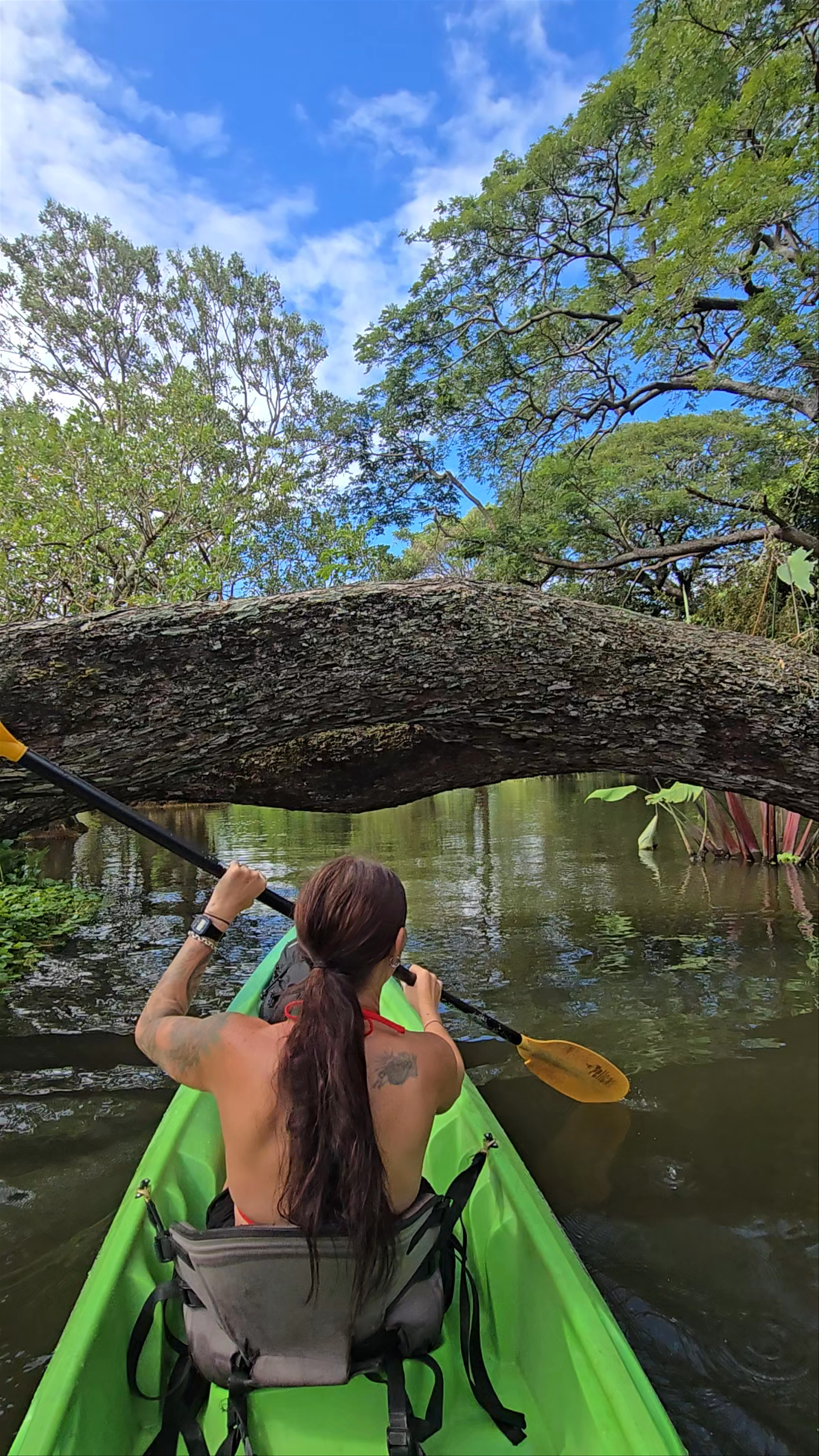 Laguna Volcan Maderas