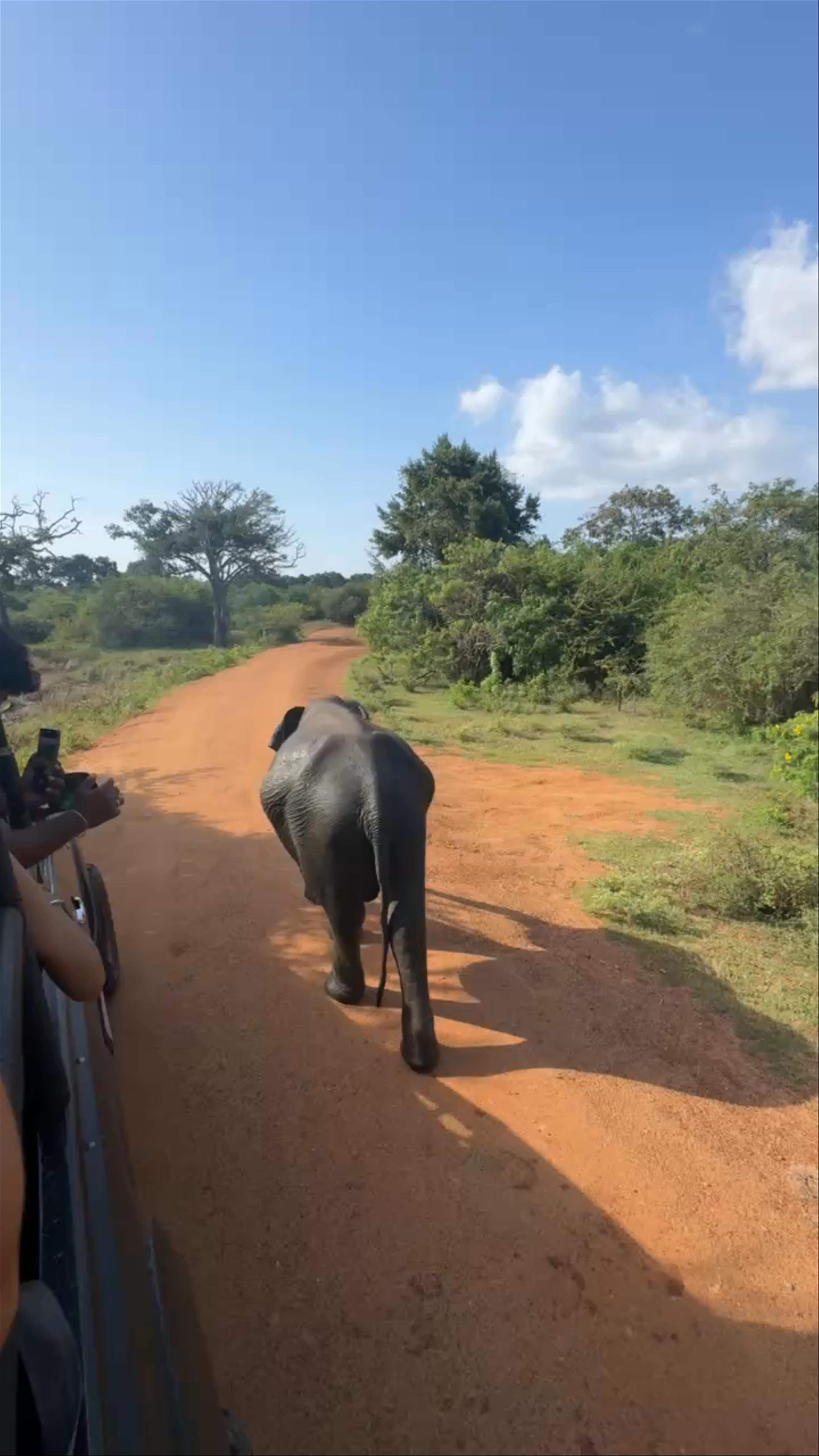 Yala National Park Sri Lanka