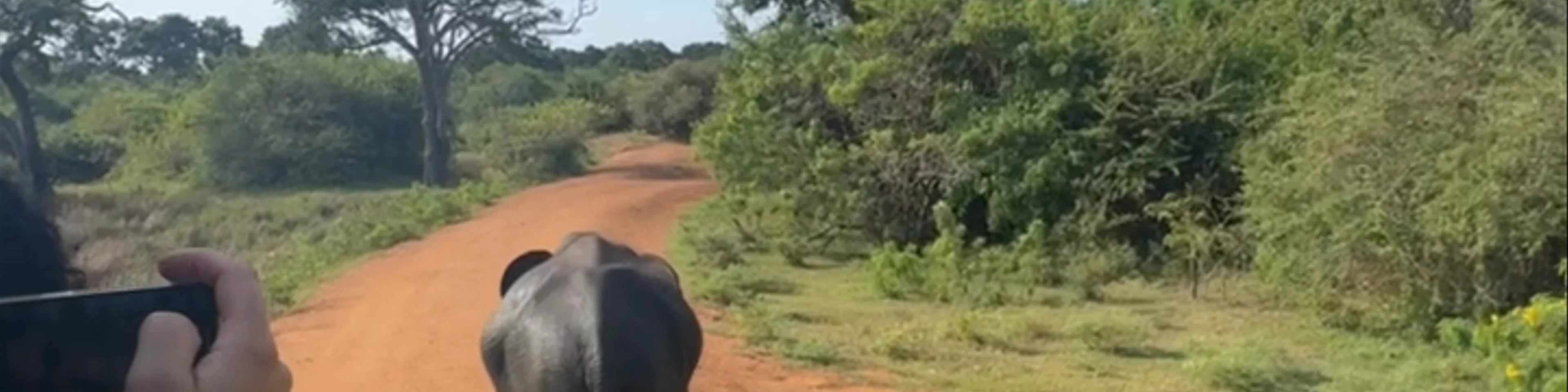 Yala National Park Sri Lanka