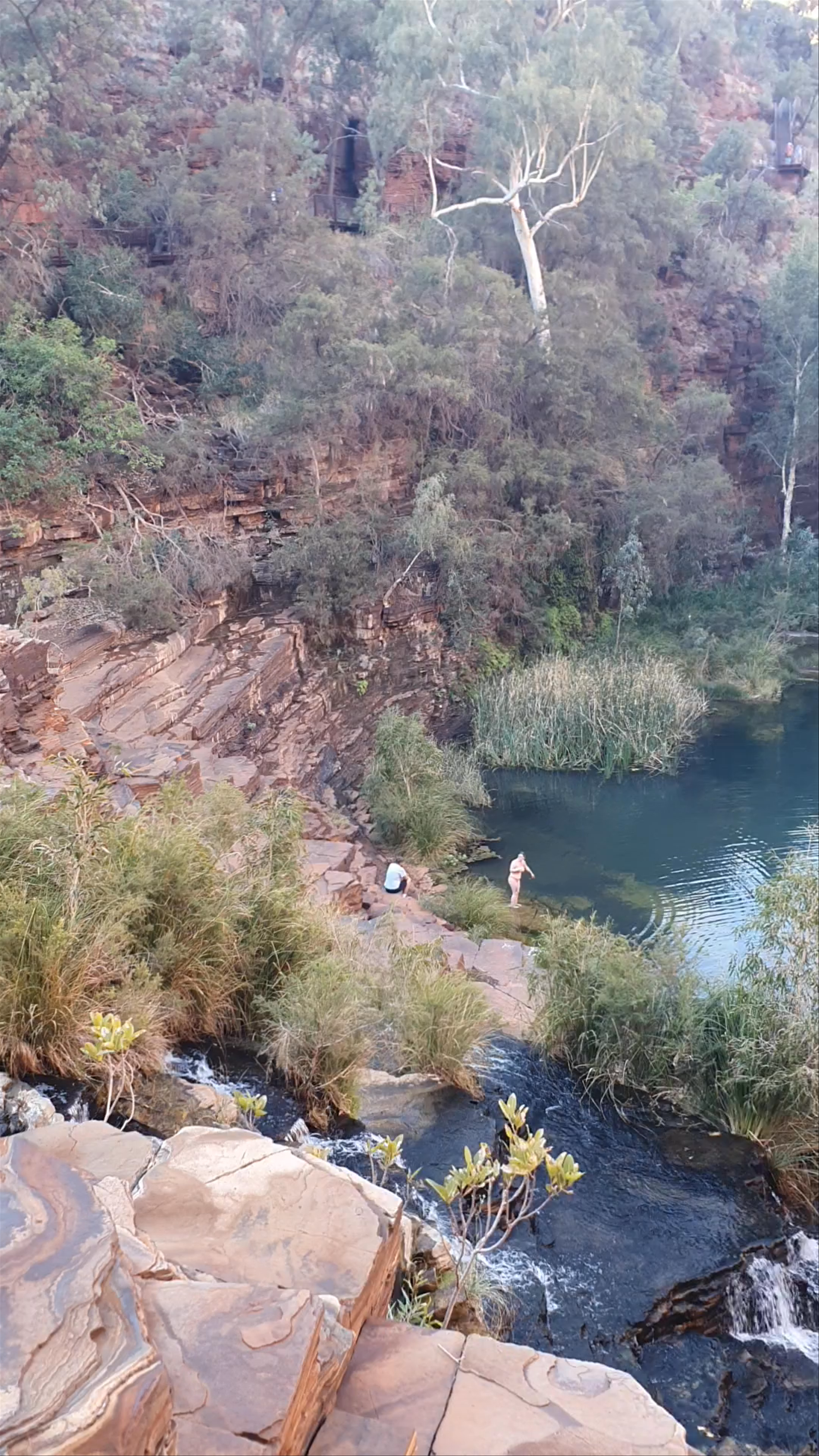 Fortescue Falls: Serene Oasis in Karijini National Park, Western Australia