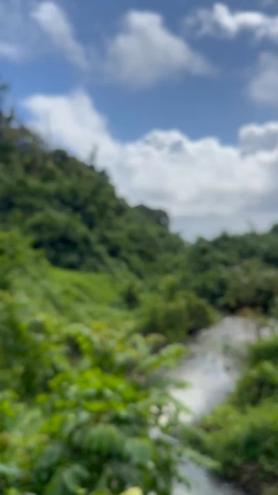 Sandy Cheeks Tours - Tours Near Me