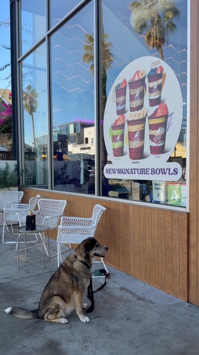 Oakberry Acai - Acai Bowls Near Me - Los Angeles, California