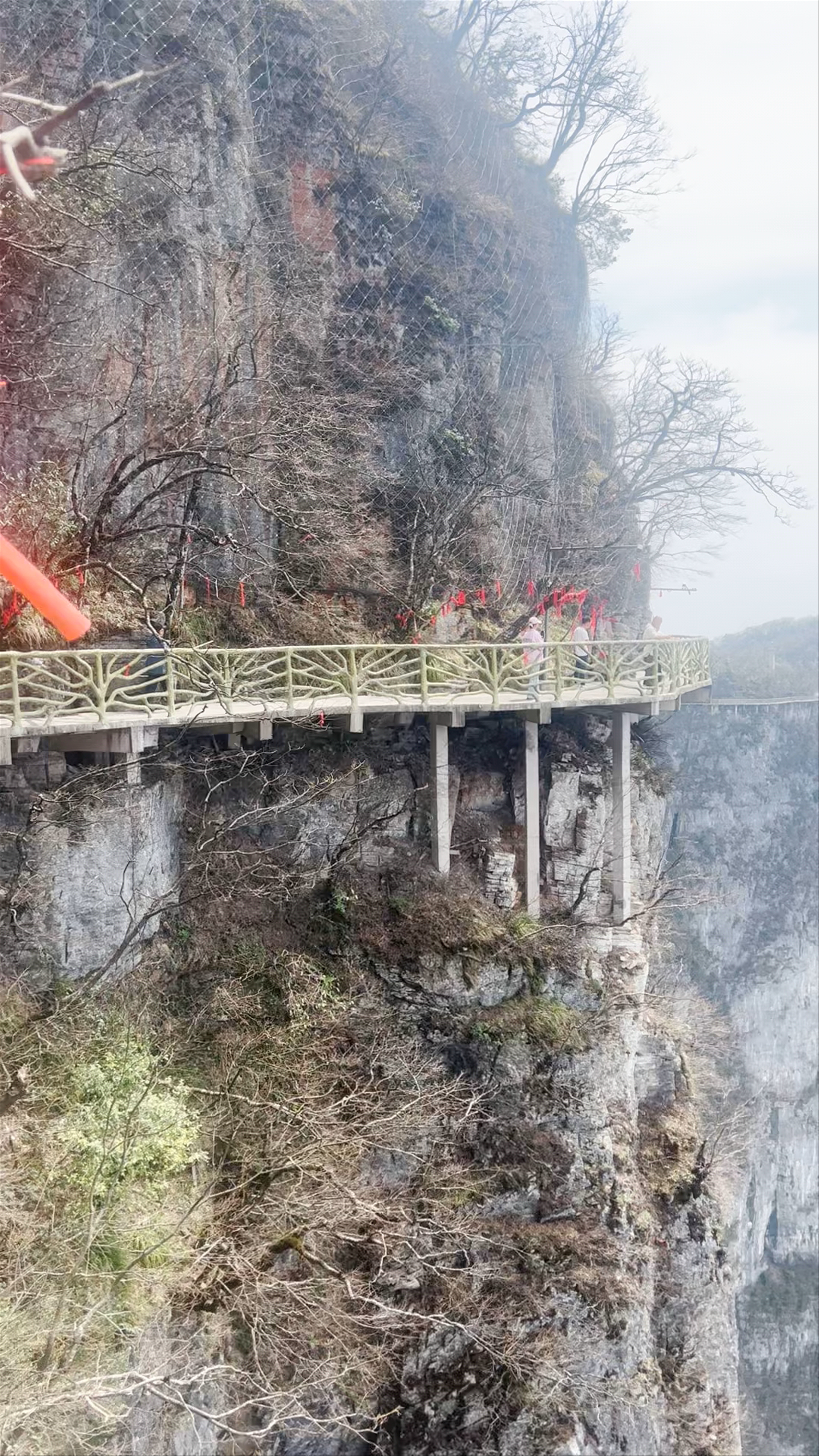 National Forest Pk of Tianmen Mountain
