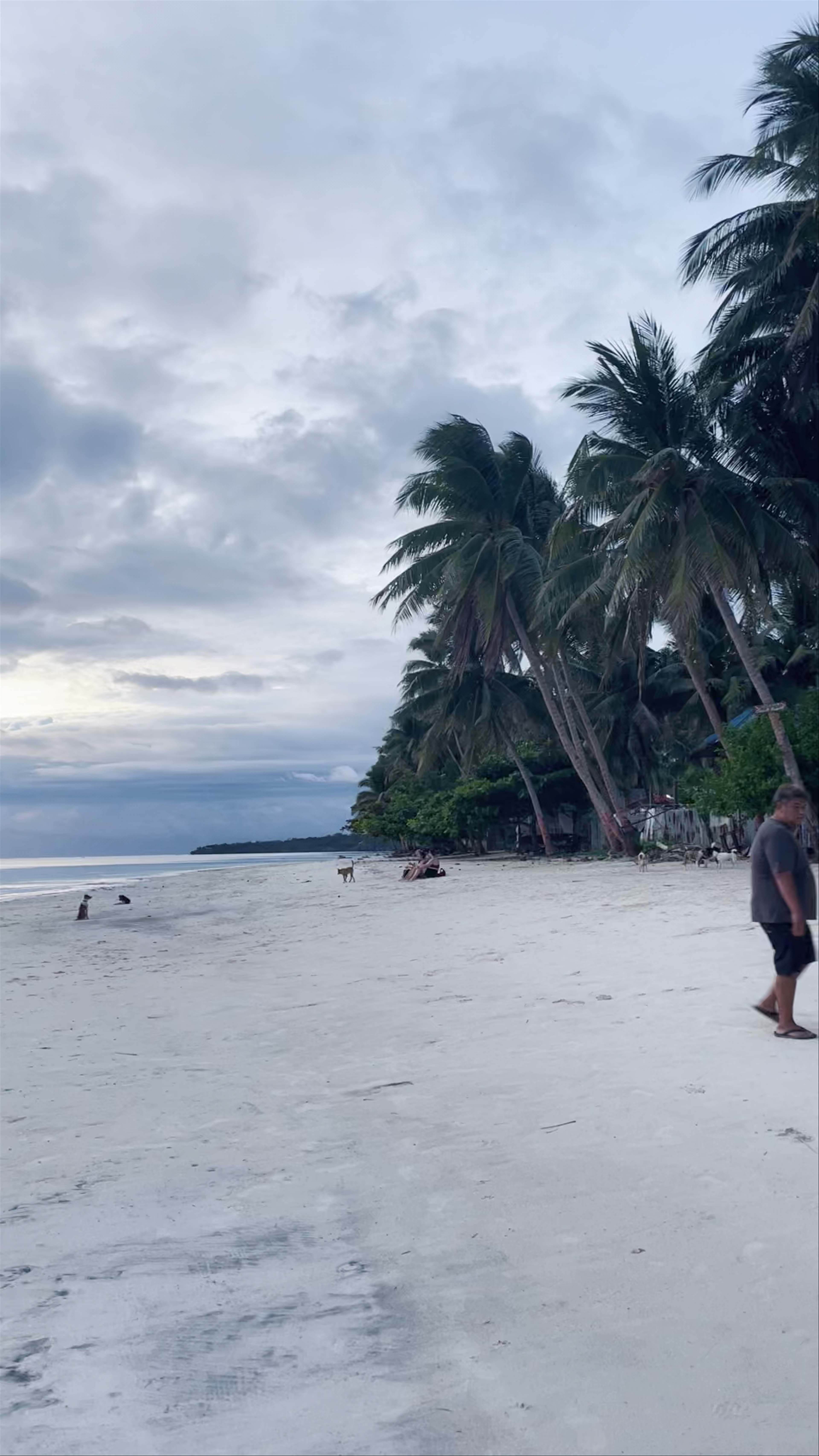 Coral Cay
