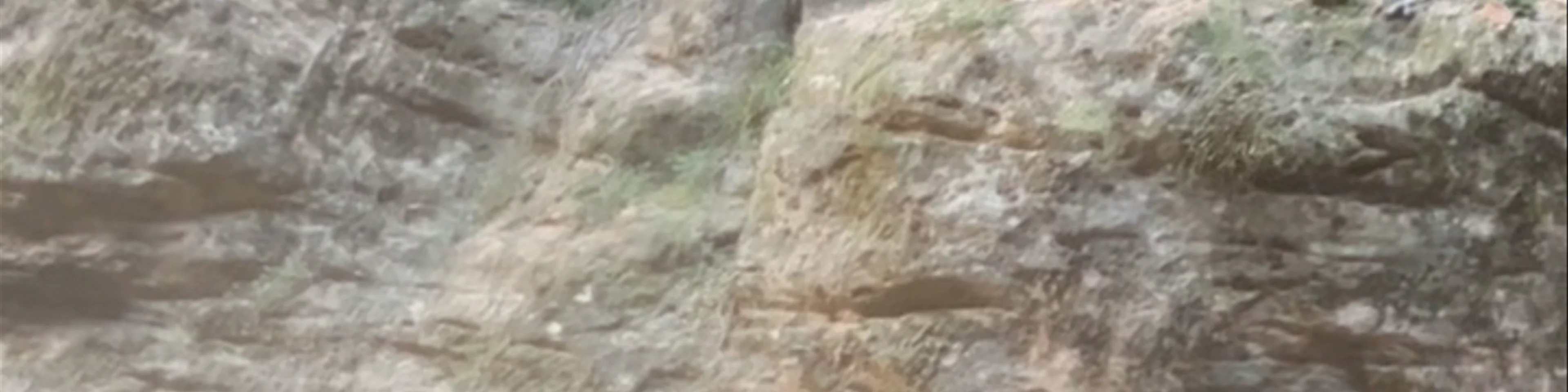 Zion National Park