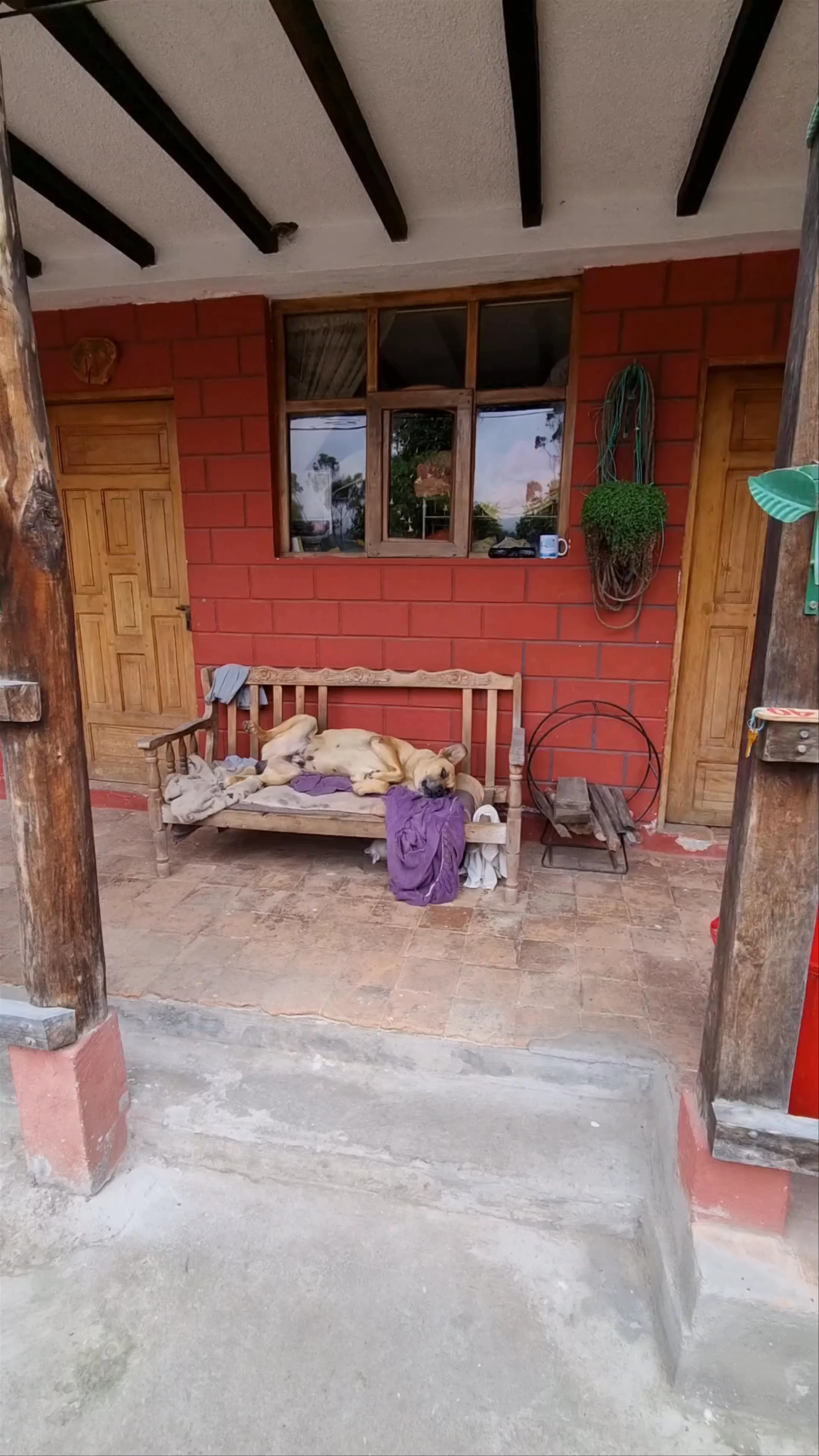 Hostal Cloud Forest