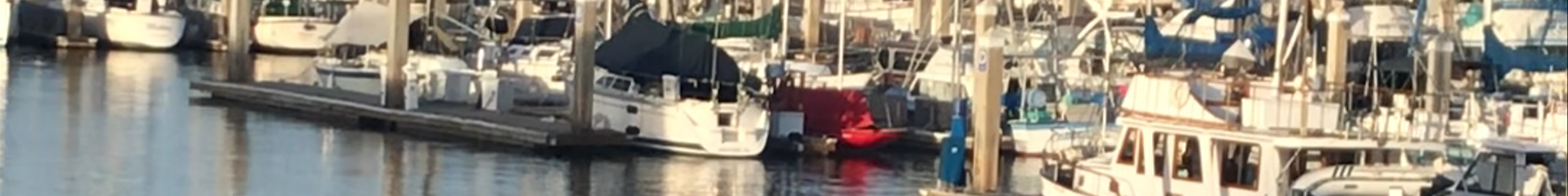 Tours & experiences in Monterey