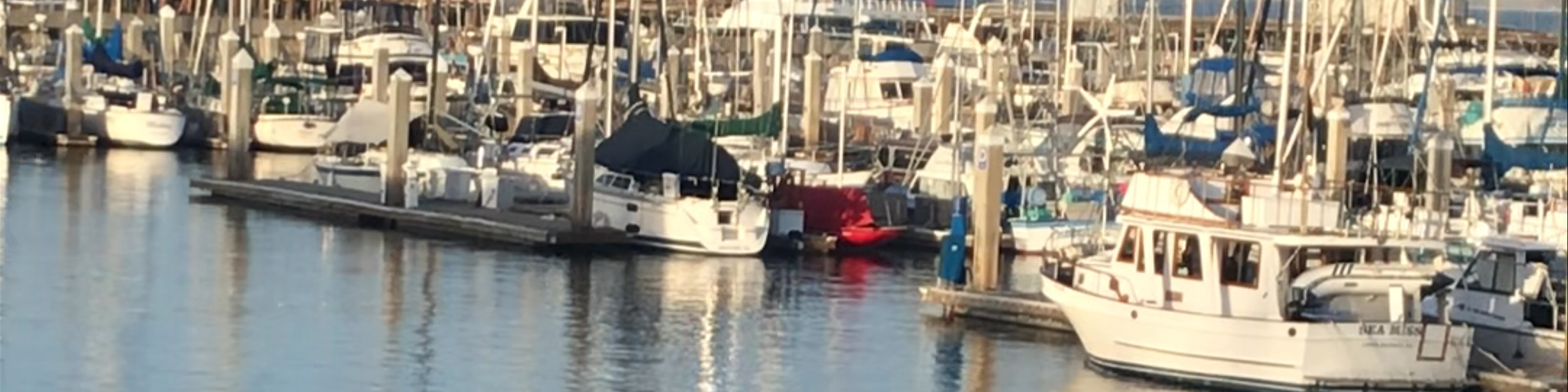 Monterey