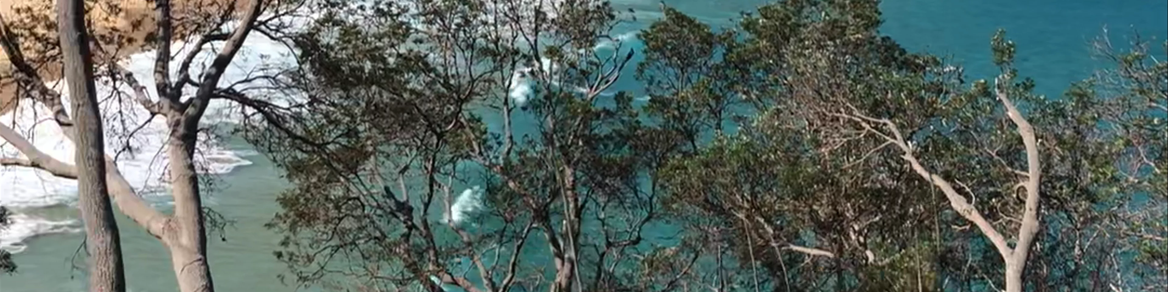 Steamers Beach