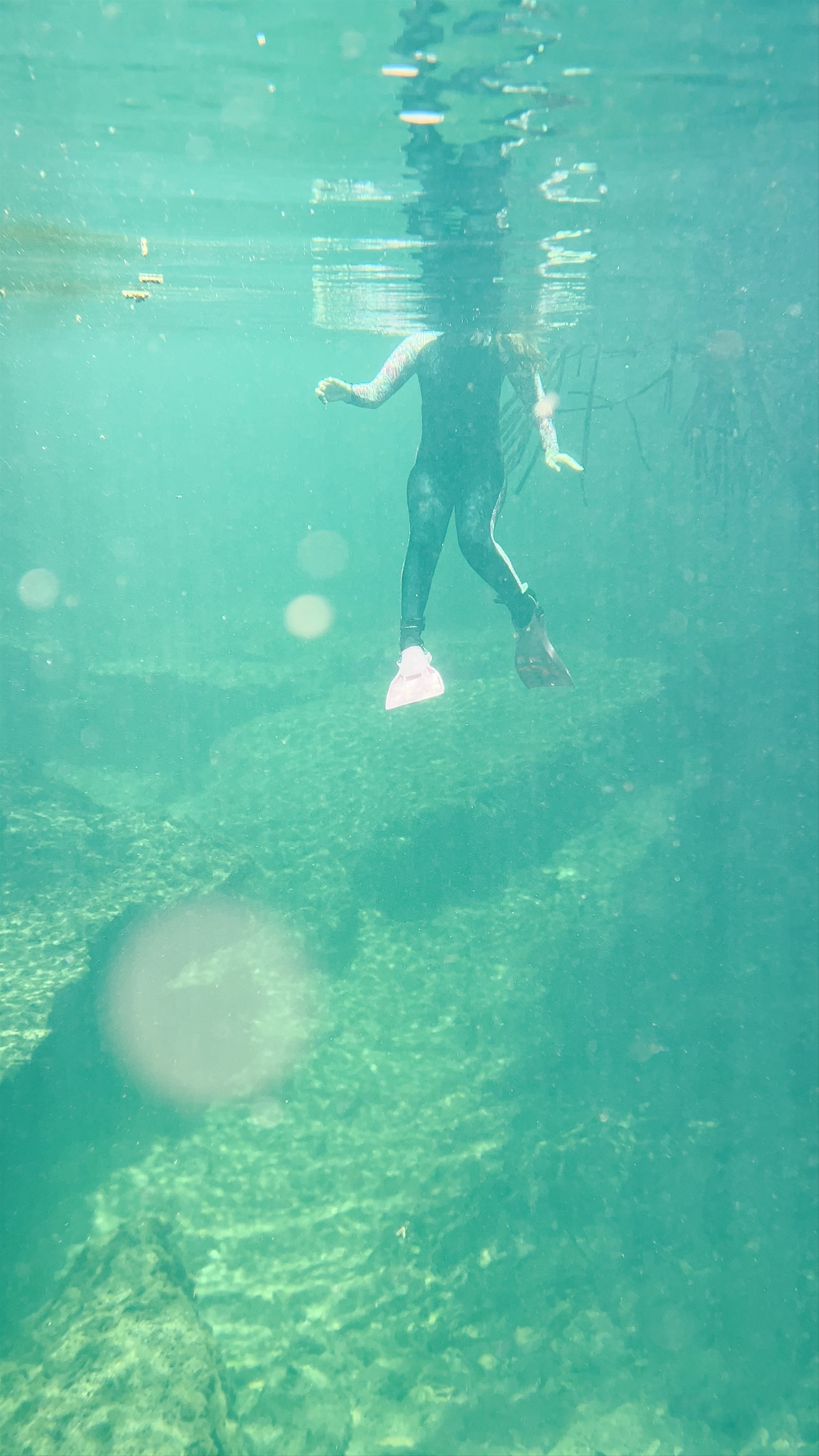 Casa Cenote
