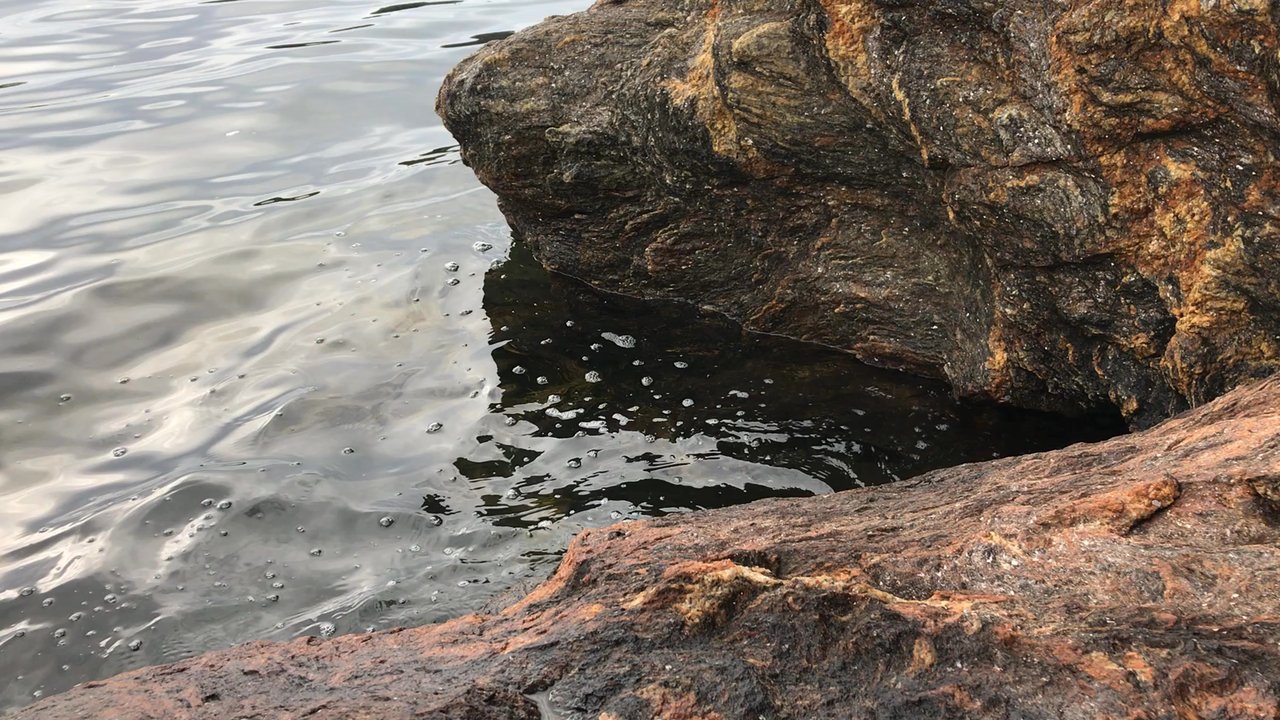 Green Point Preserve - Hiking Near Me - West Bath, Maine
