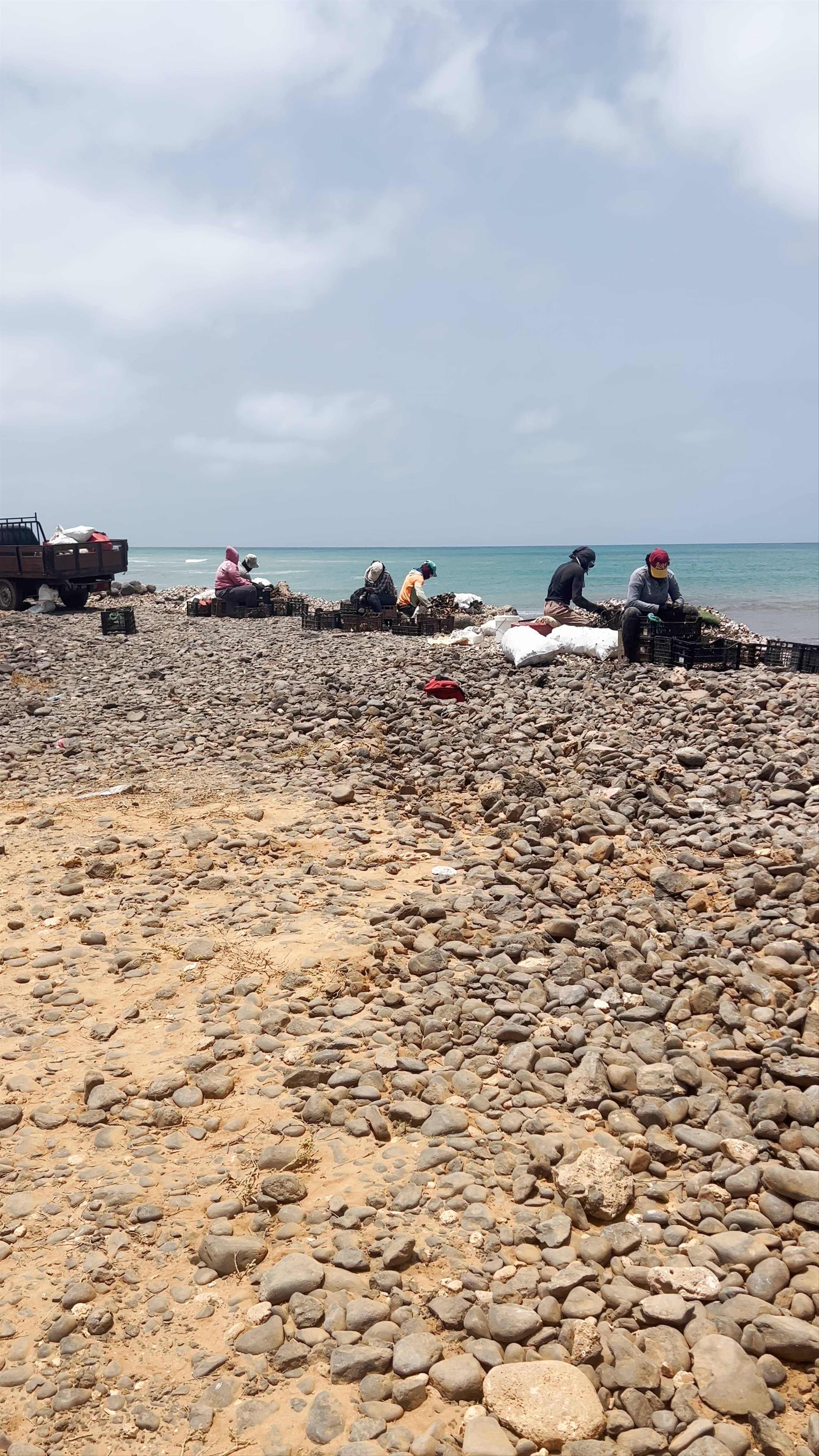 Shell Cemetery Beach