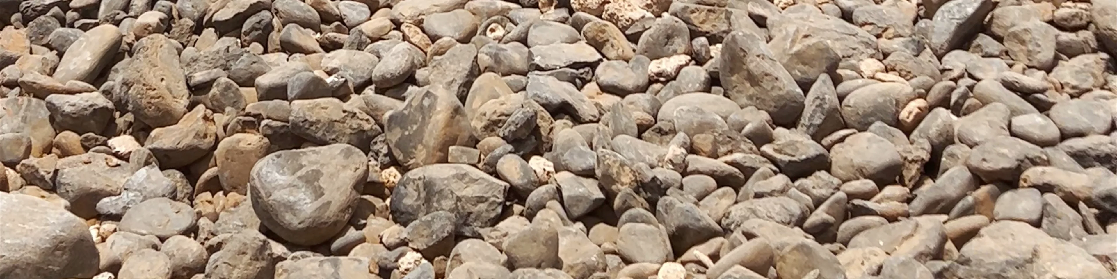 Shell Cemetery Beach