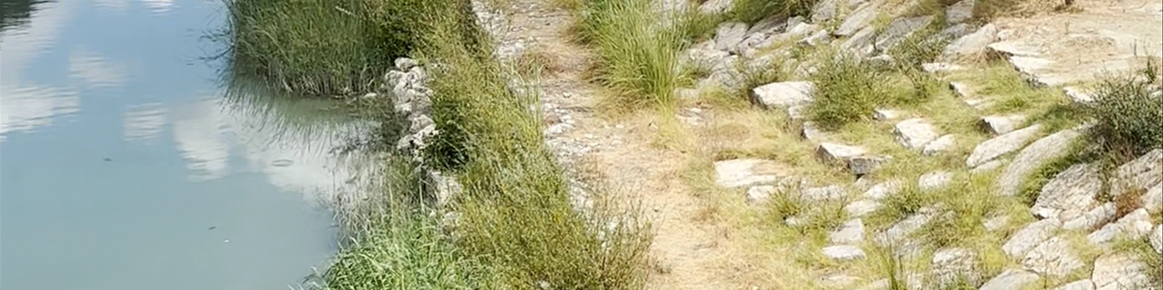 Pika turistike Tomor