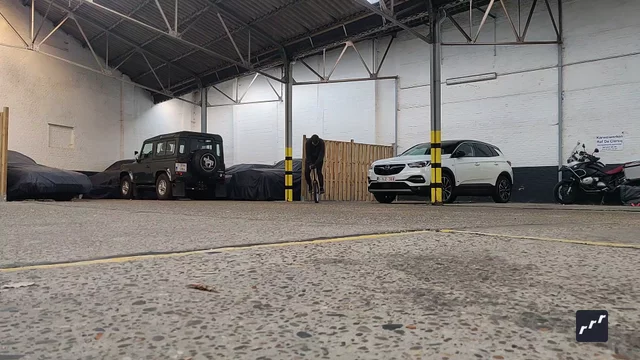 riu submission: Treyflip